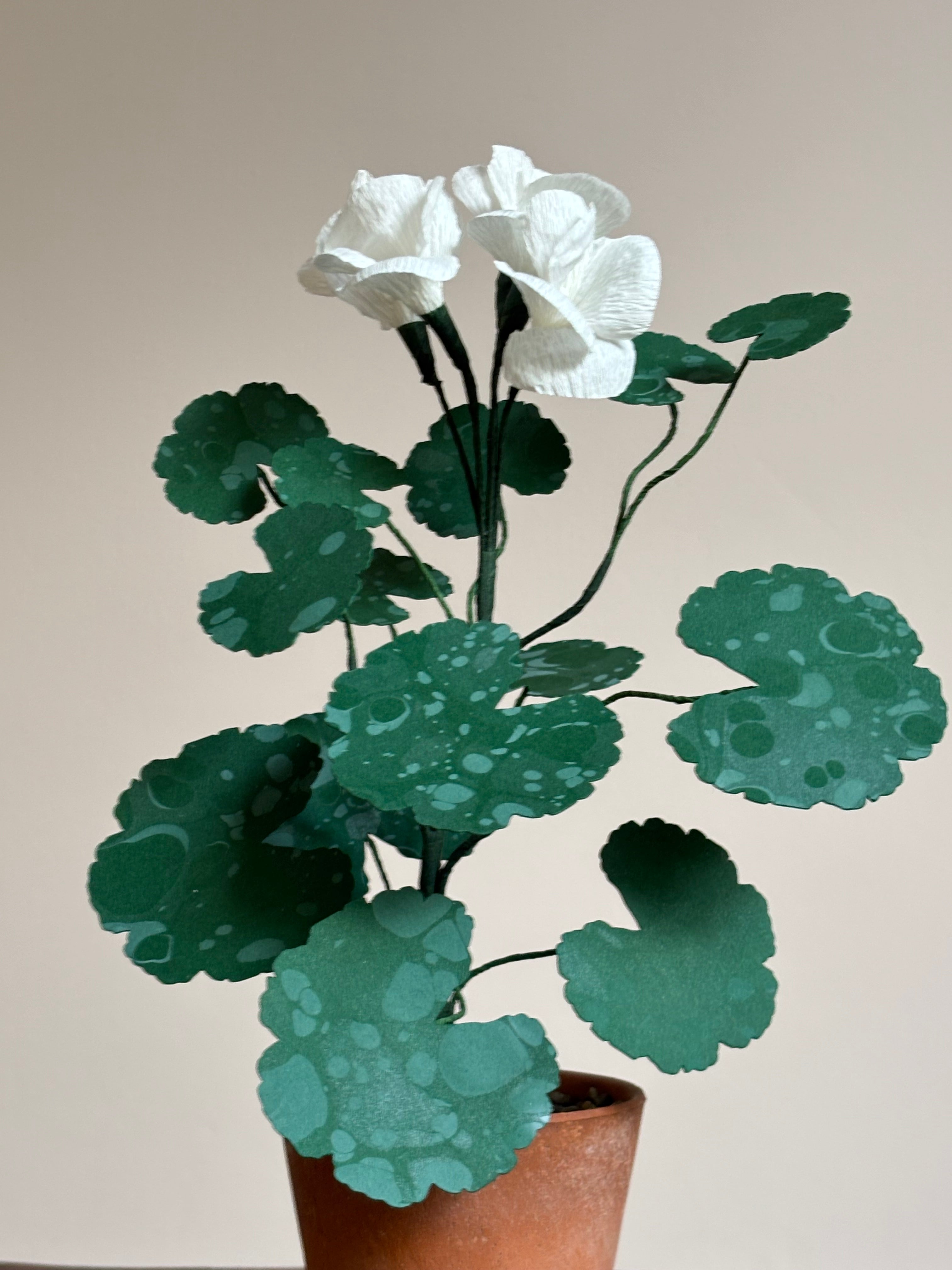 Paper Geranium