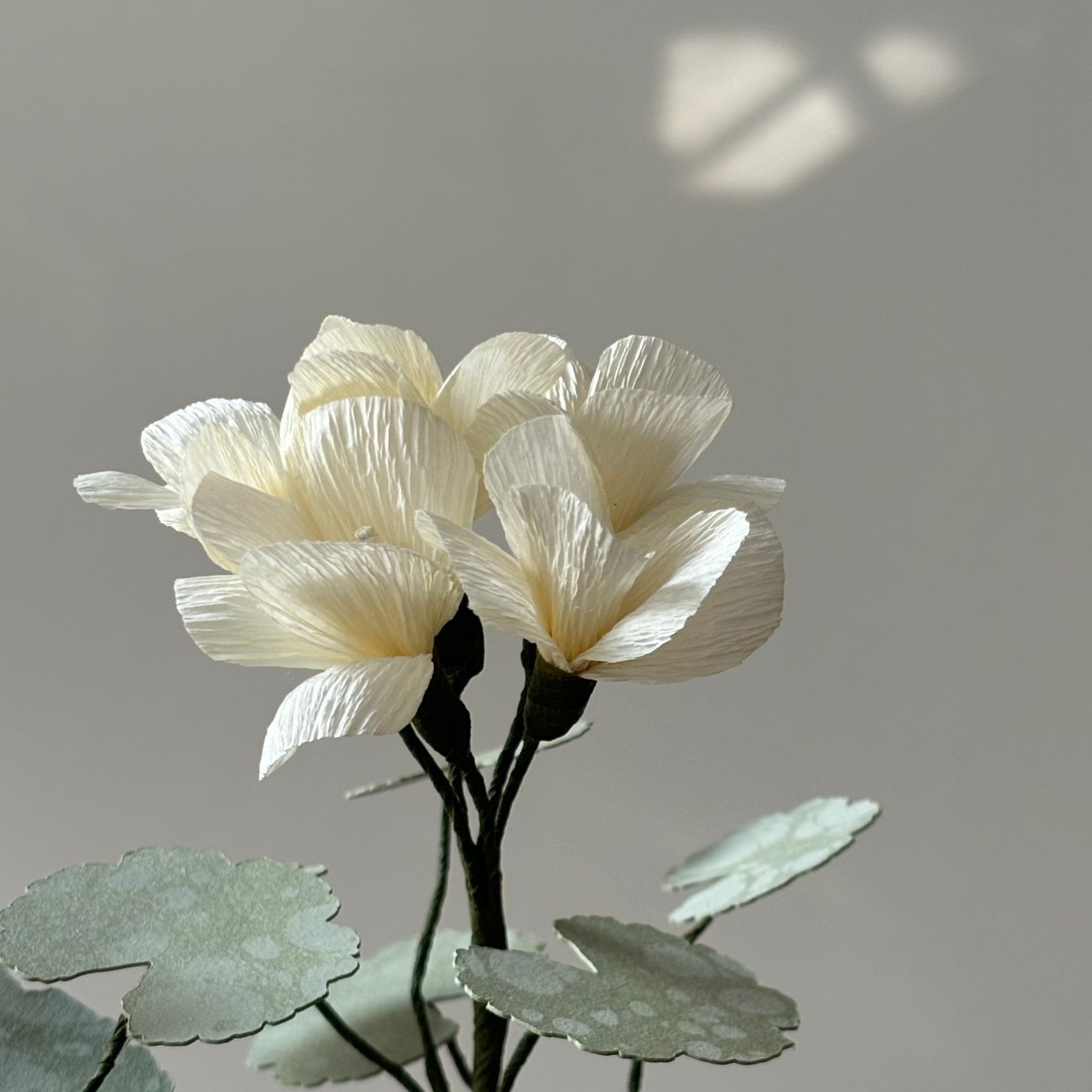 Paper Geranium