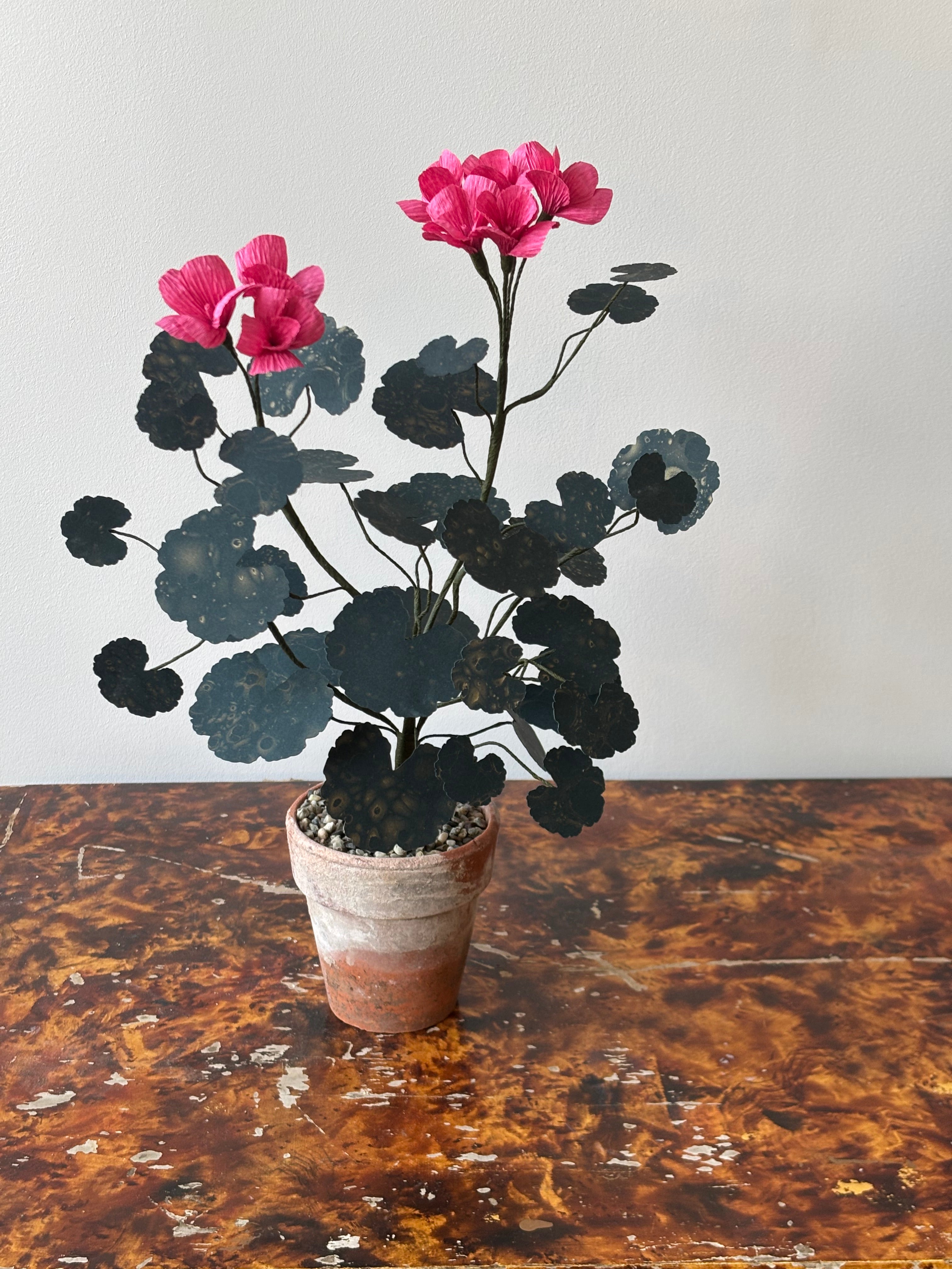 Paper Geranium