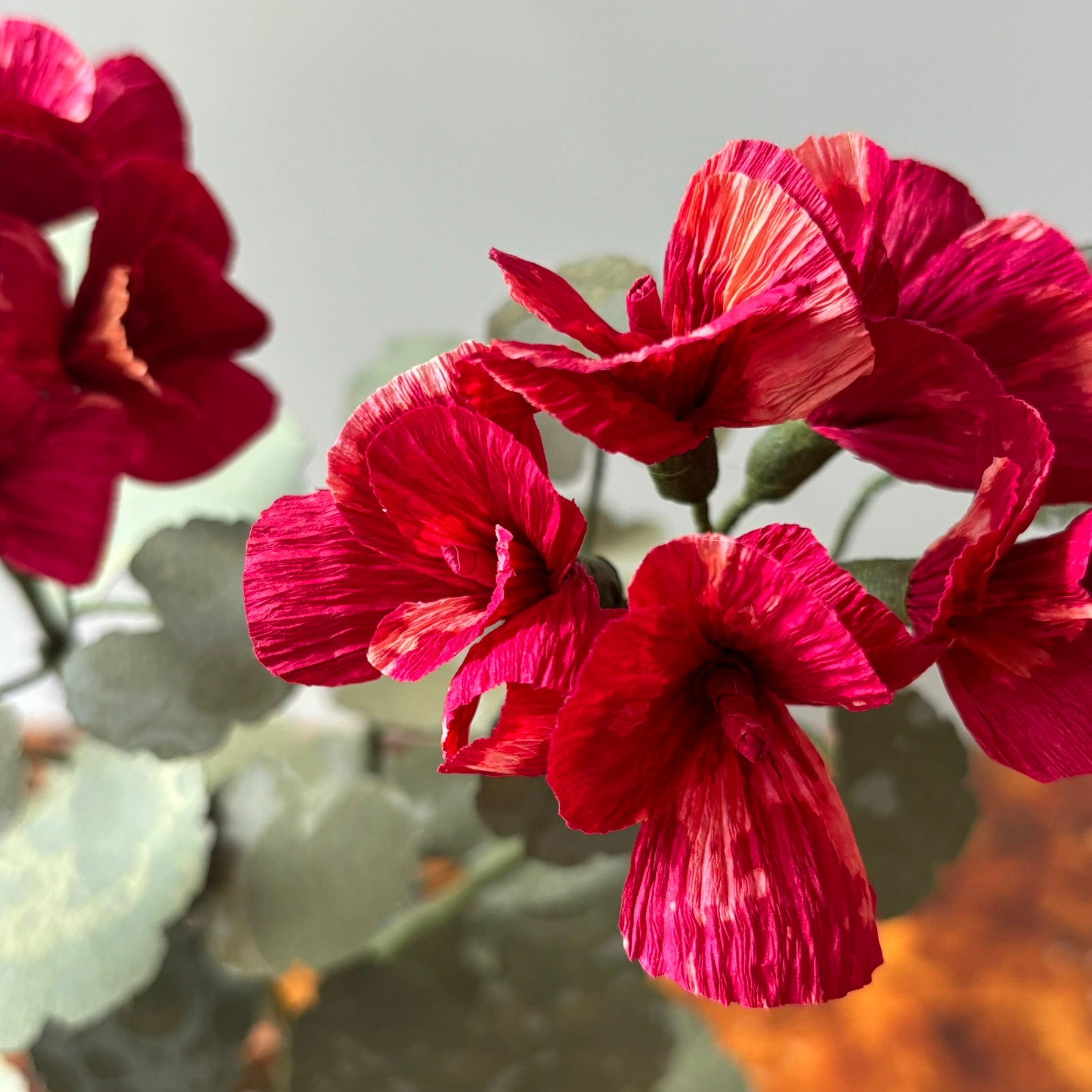 Paper Geranium
