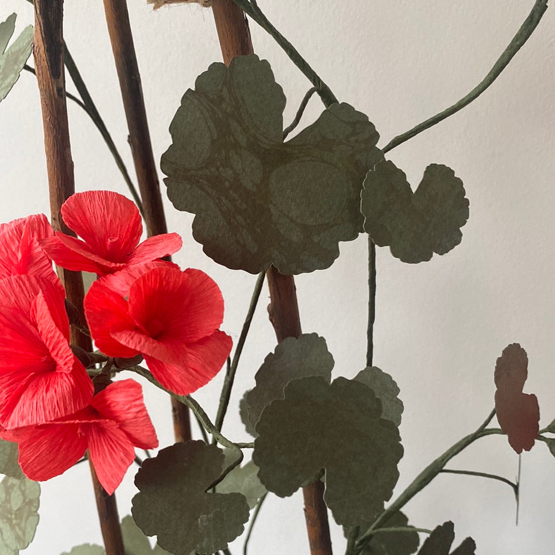 Paper Geranium COLLECTION or LONDON courier only