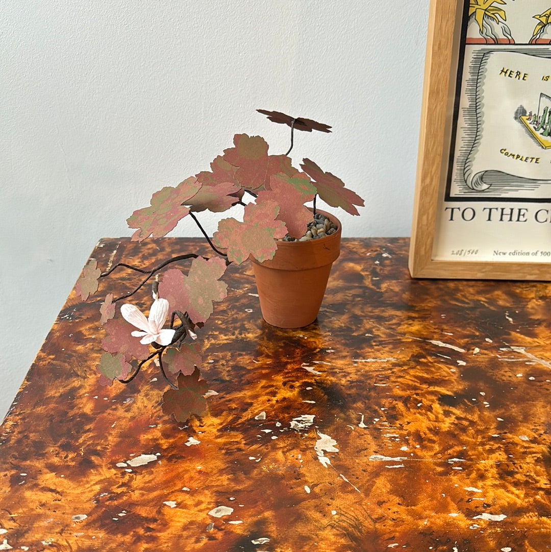 Paper Geranium