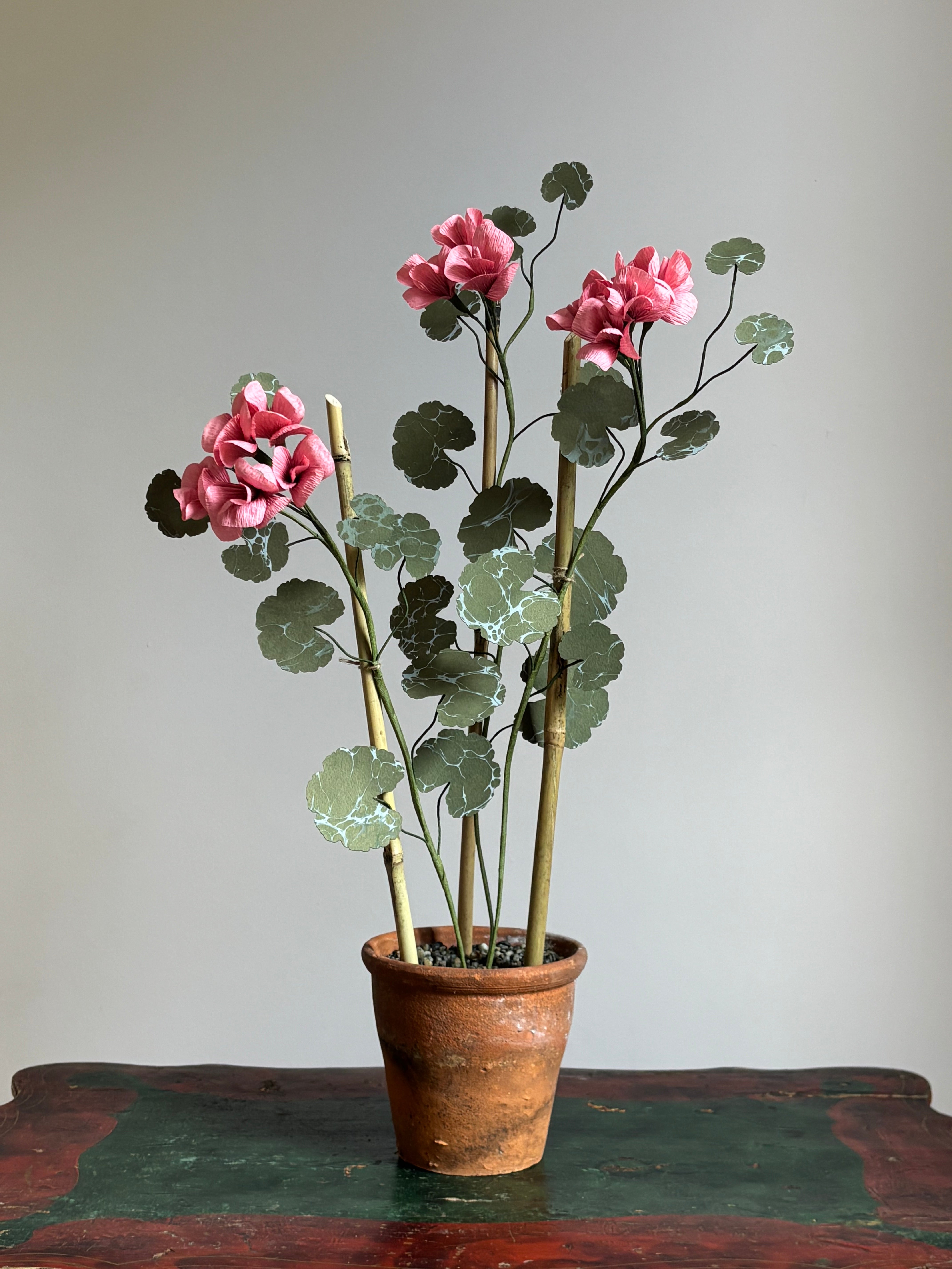 Paper Geranium