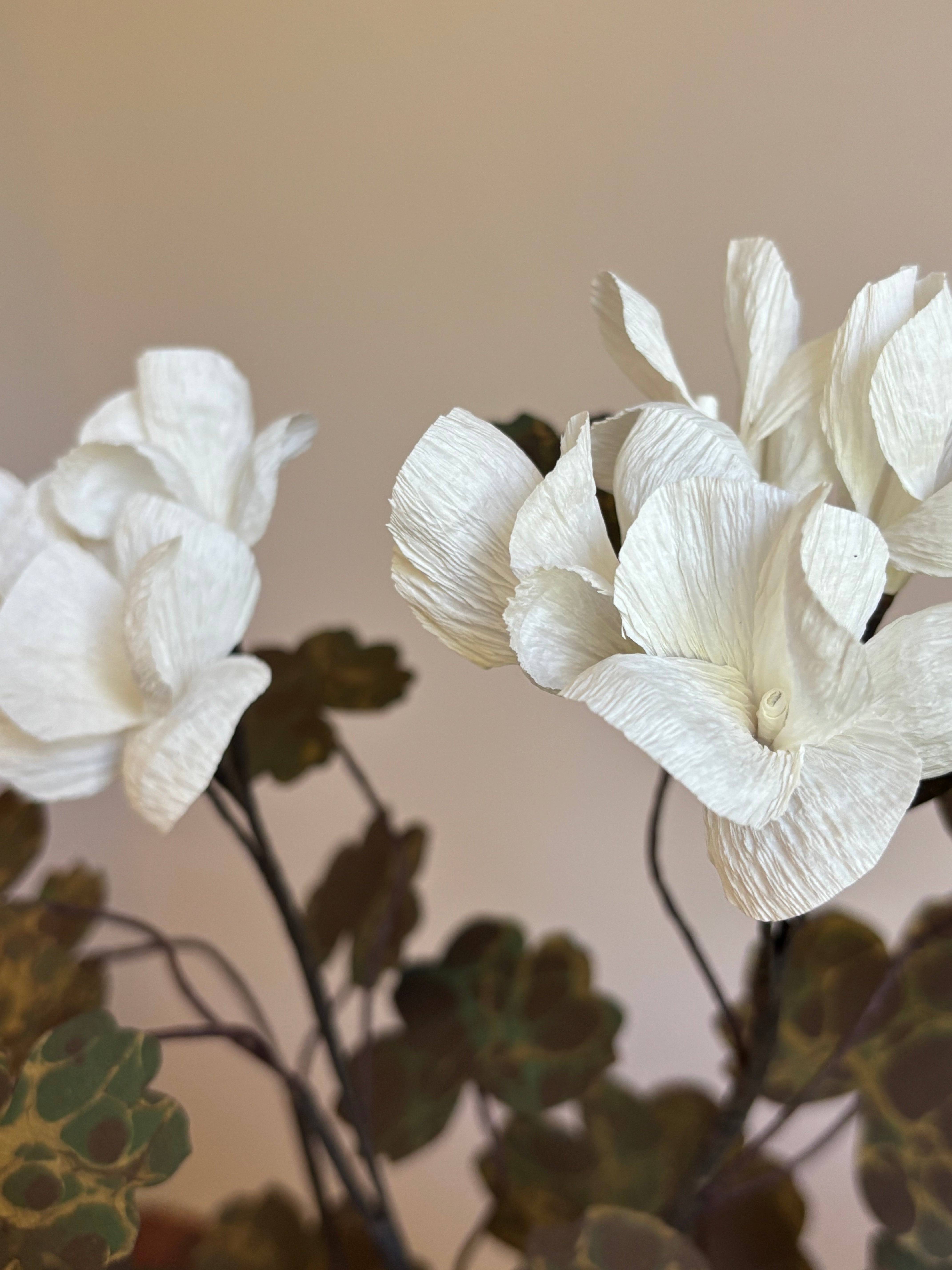 Paper Geranium