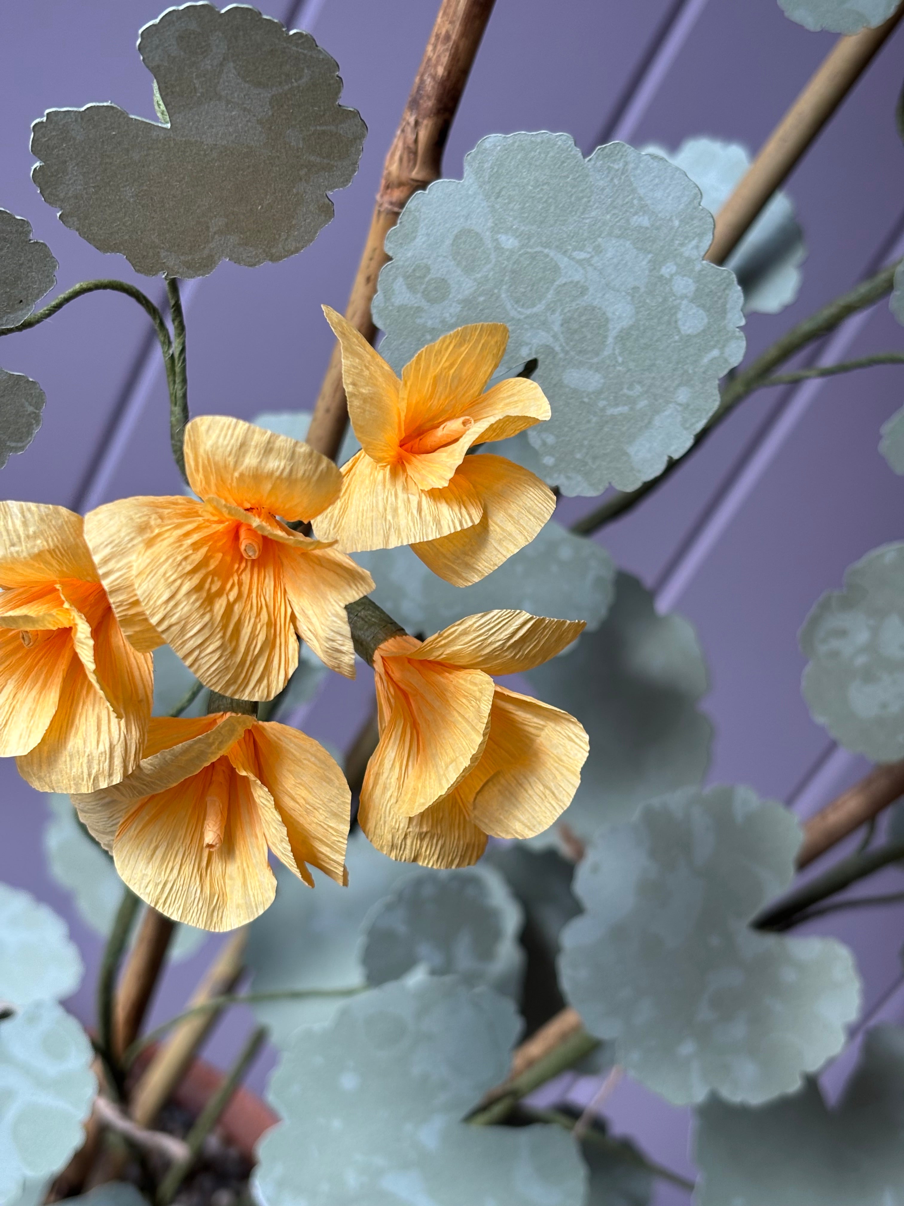 Paper geranium