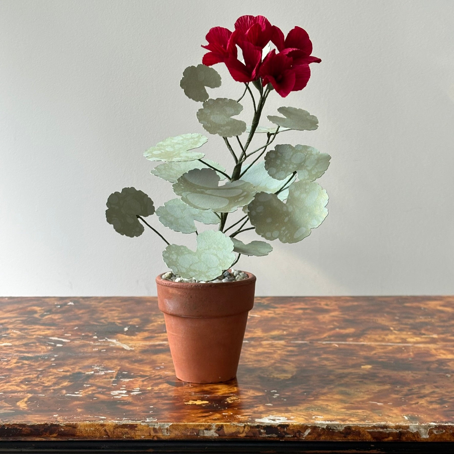Paper Geranium
