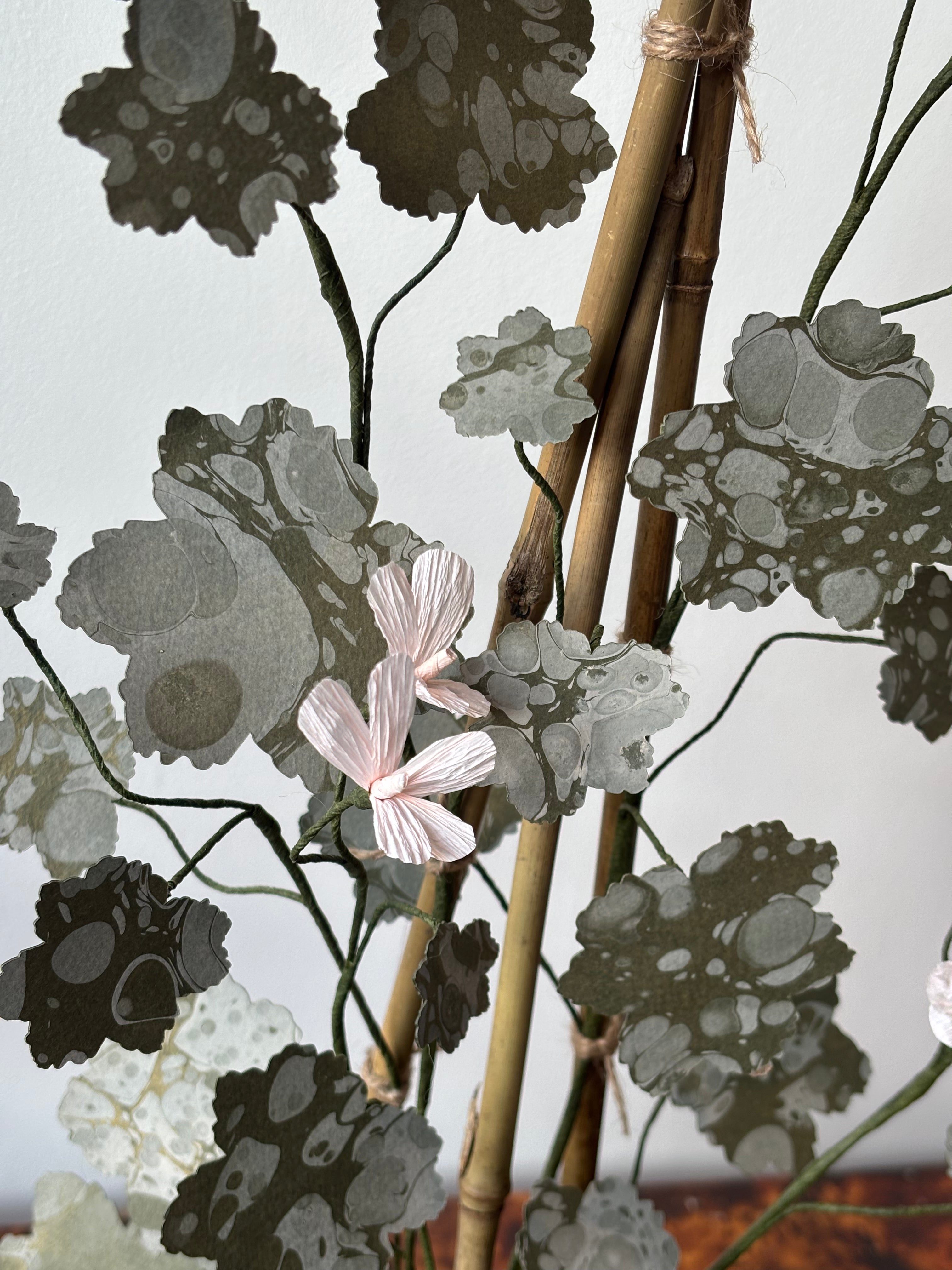 Paper Geranium
