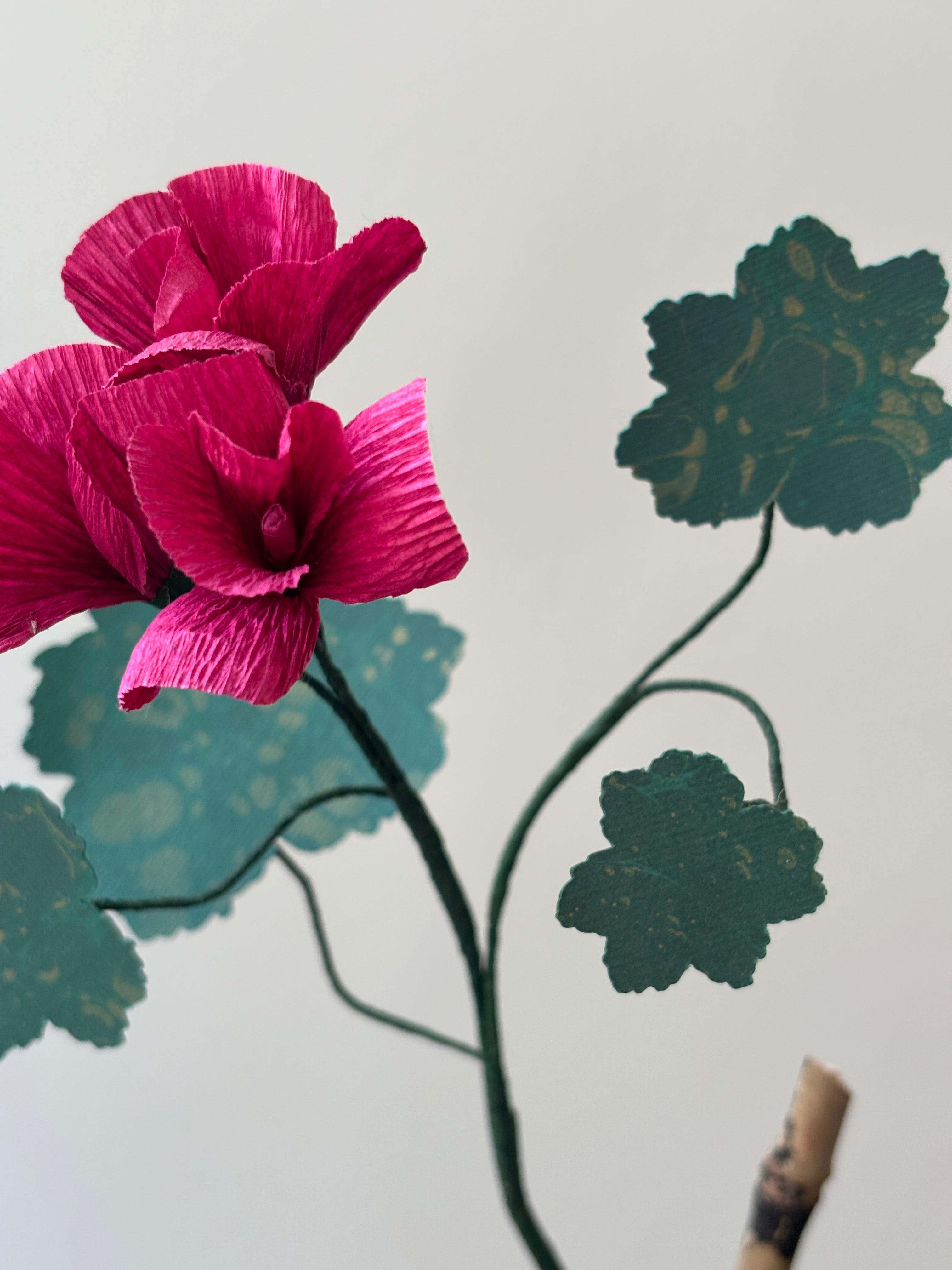 Paper Geranium
