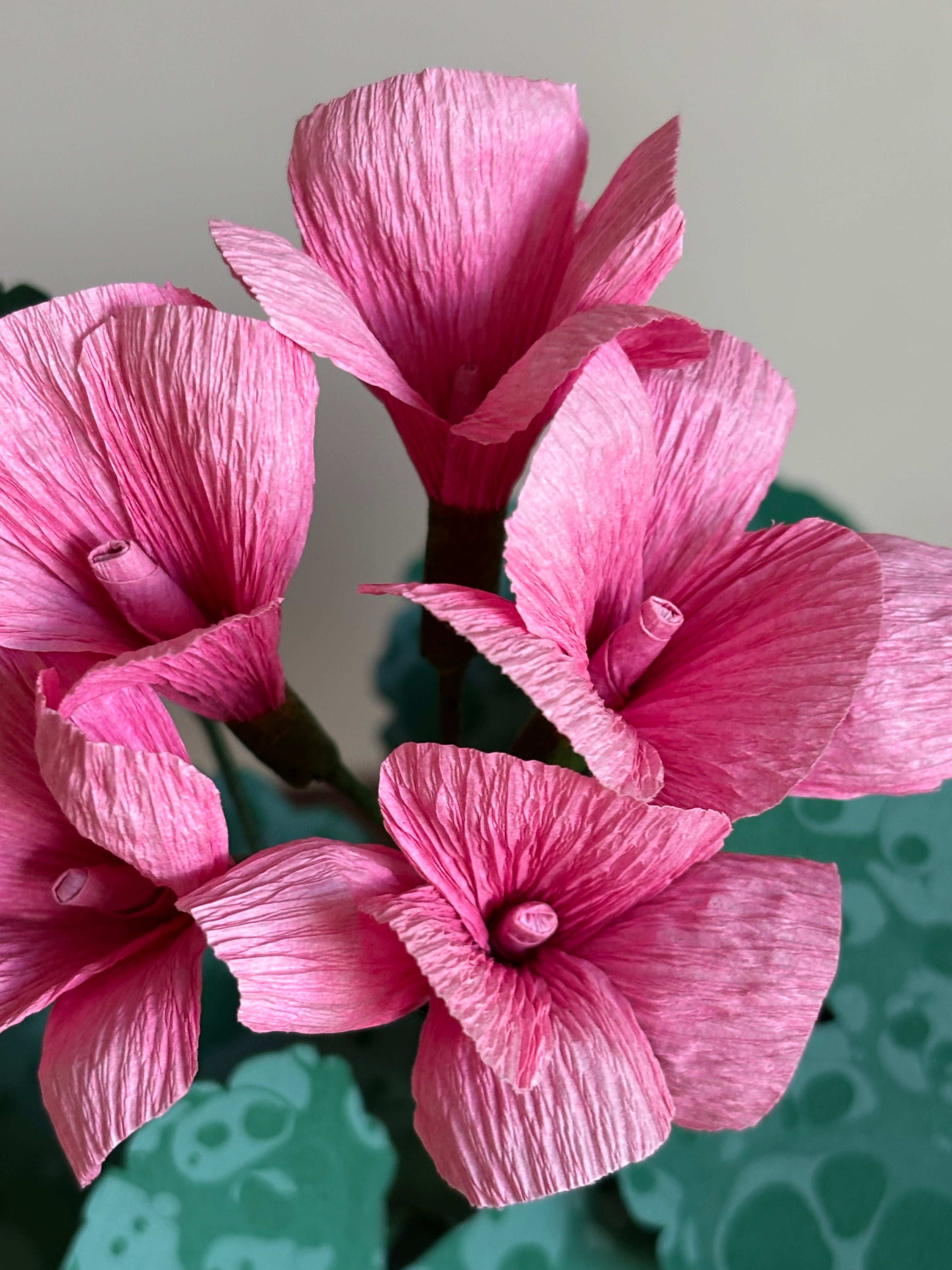Paper Geranium
