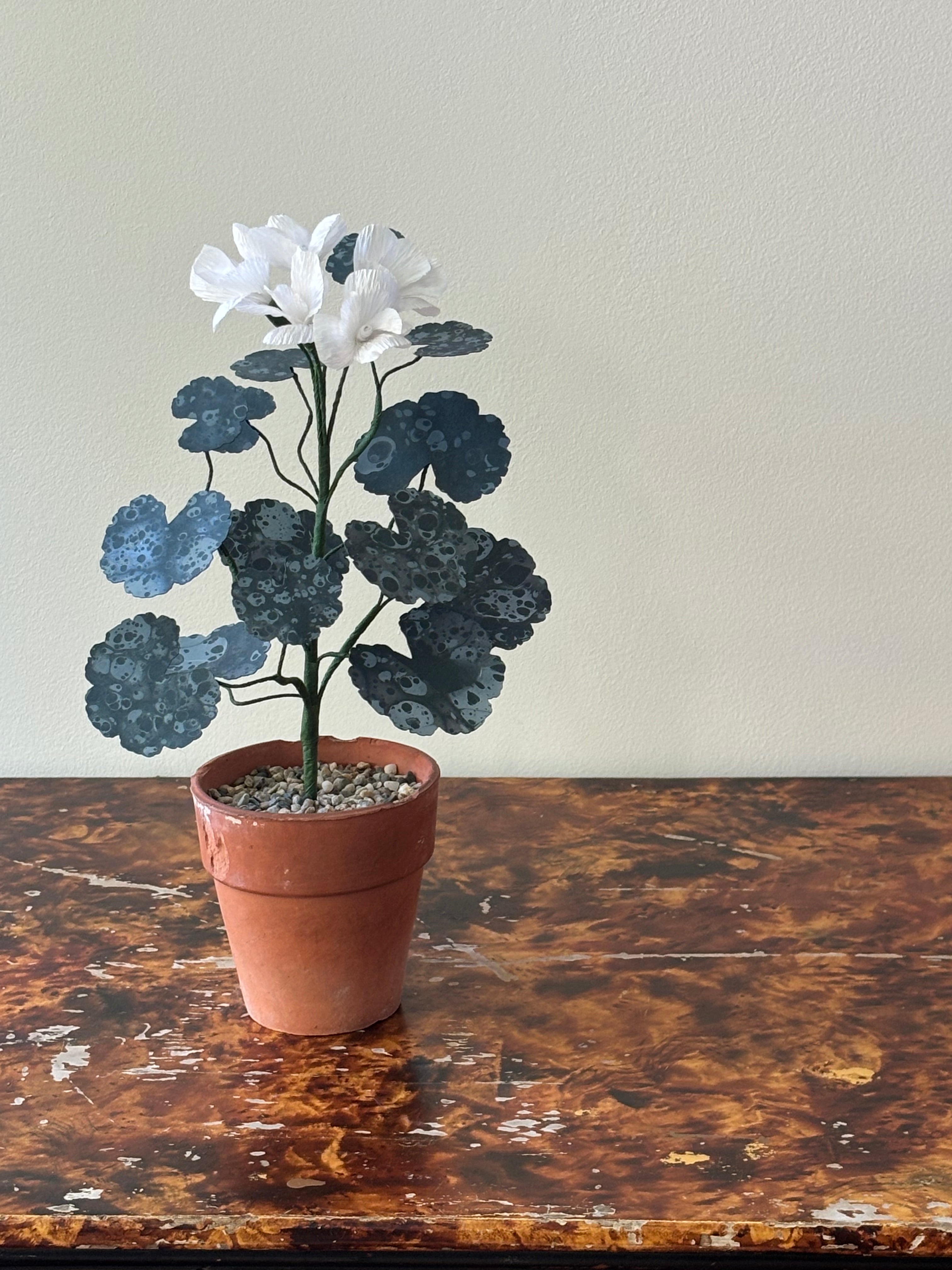 Paper Geranium