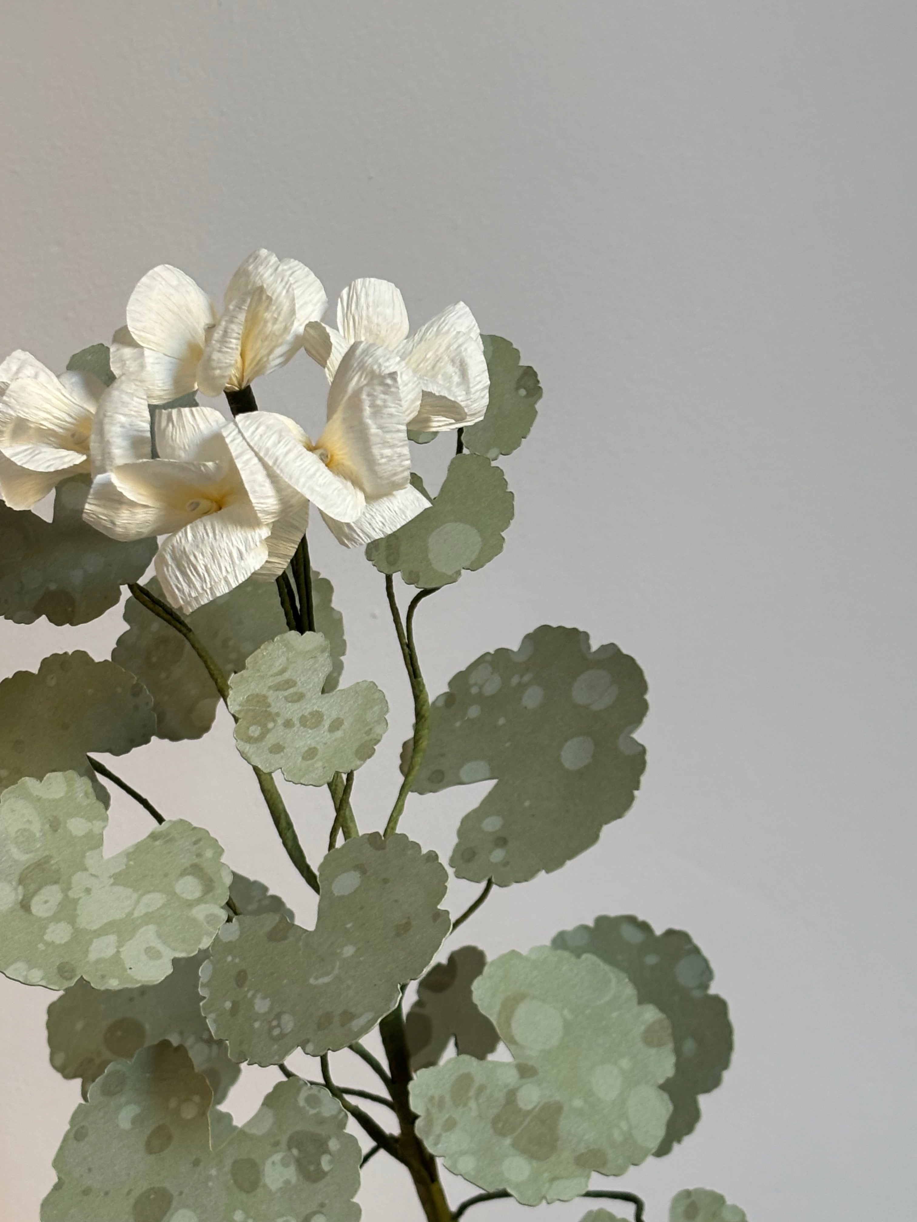 Paper Geranium
