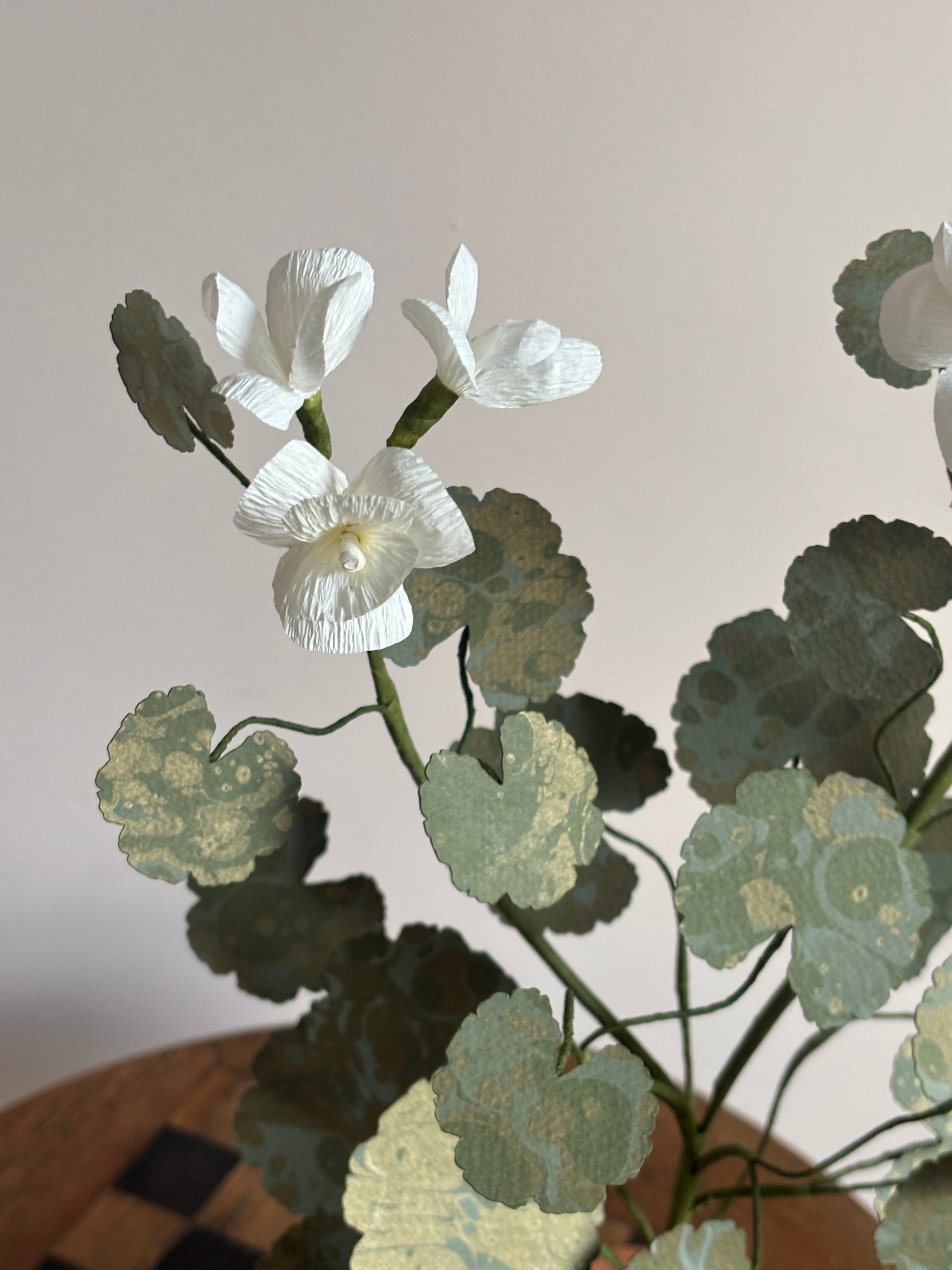 Paper Geranium