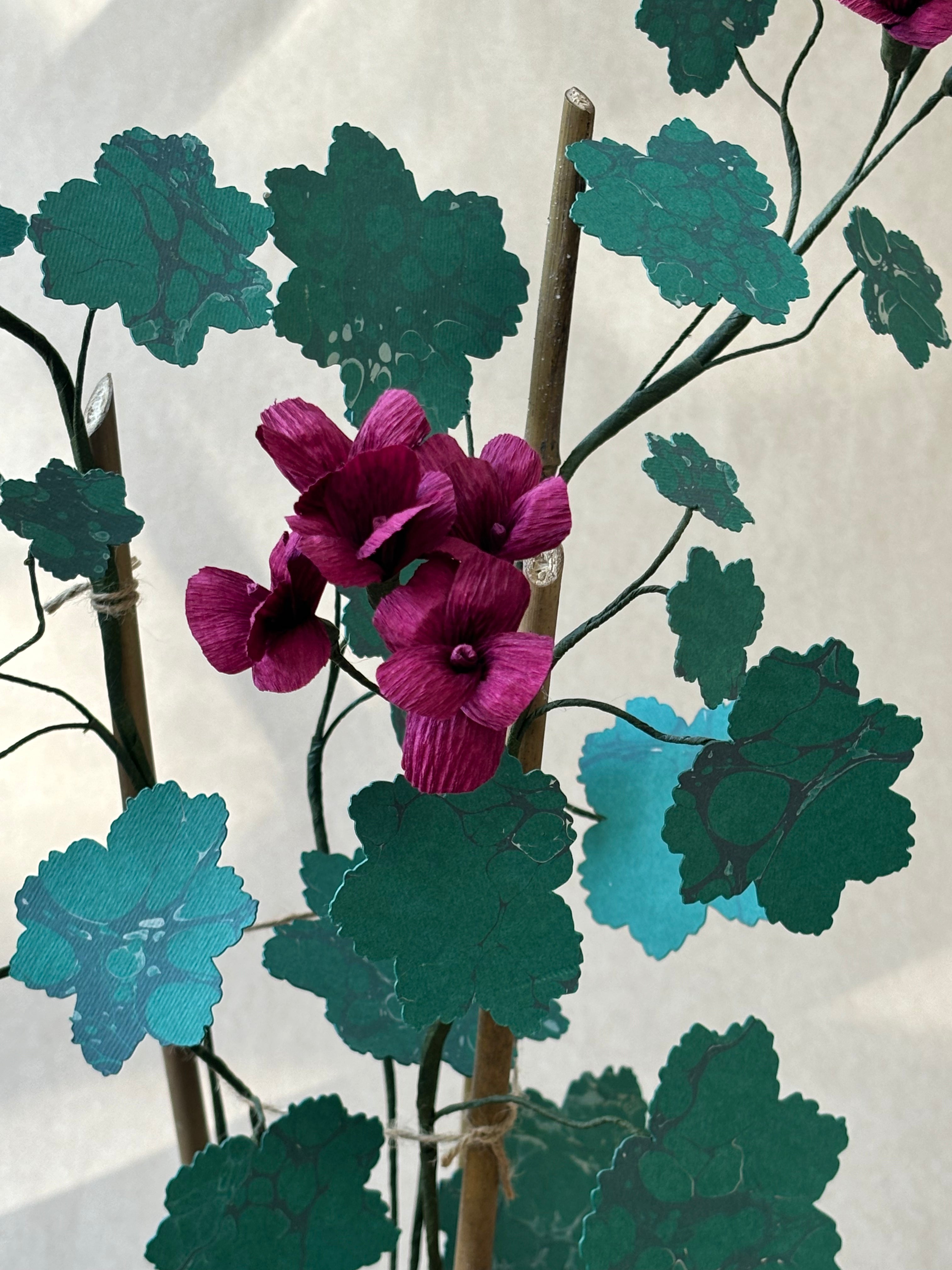 Geranium