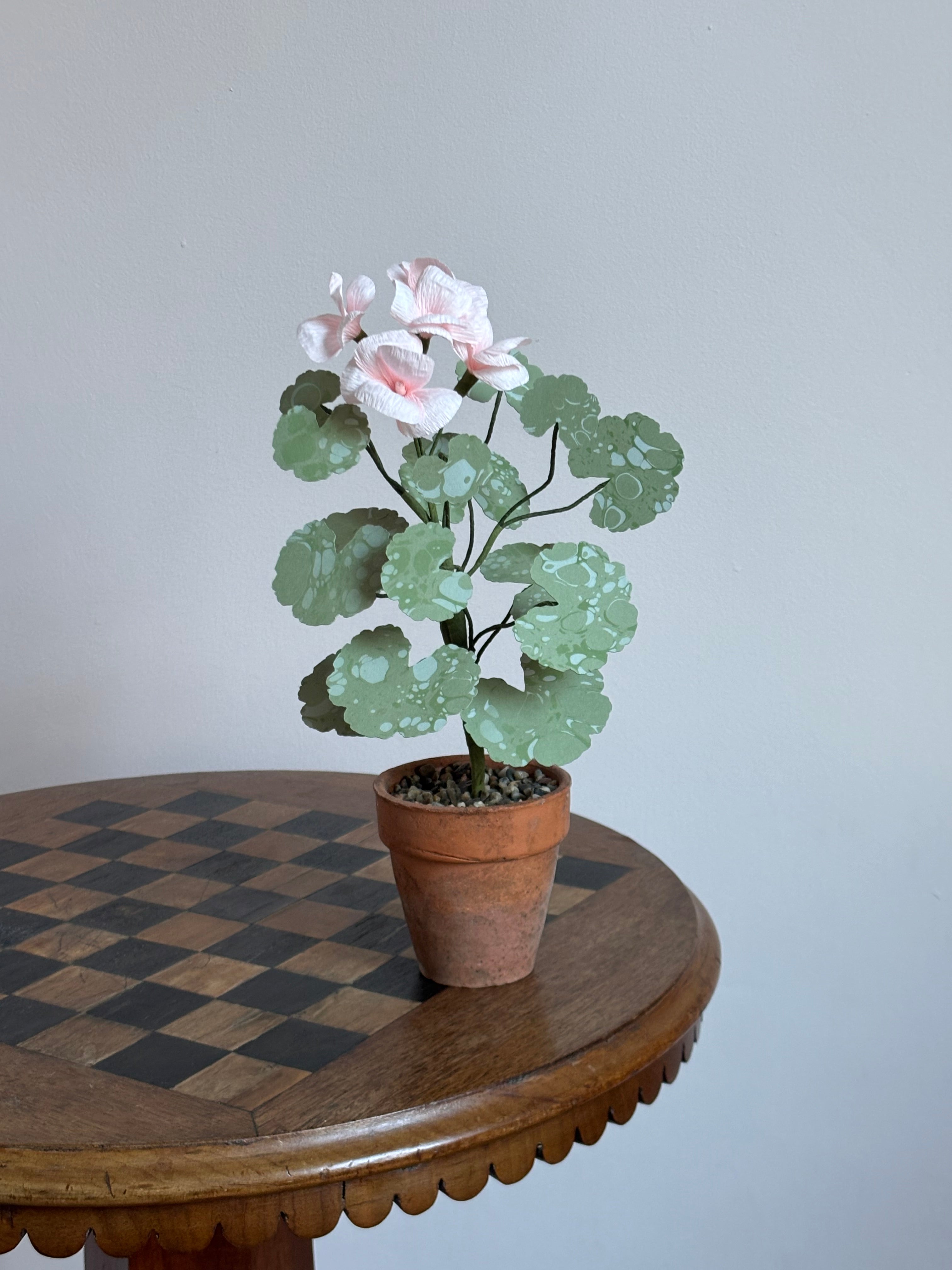 Paper Geranium hh