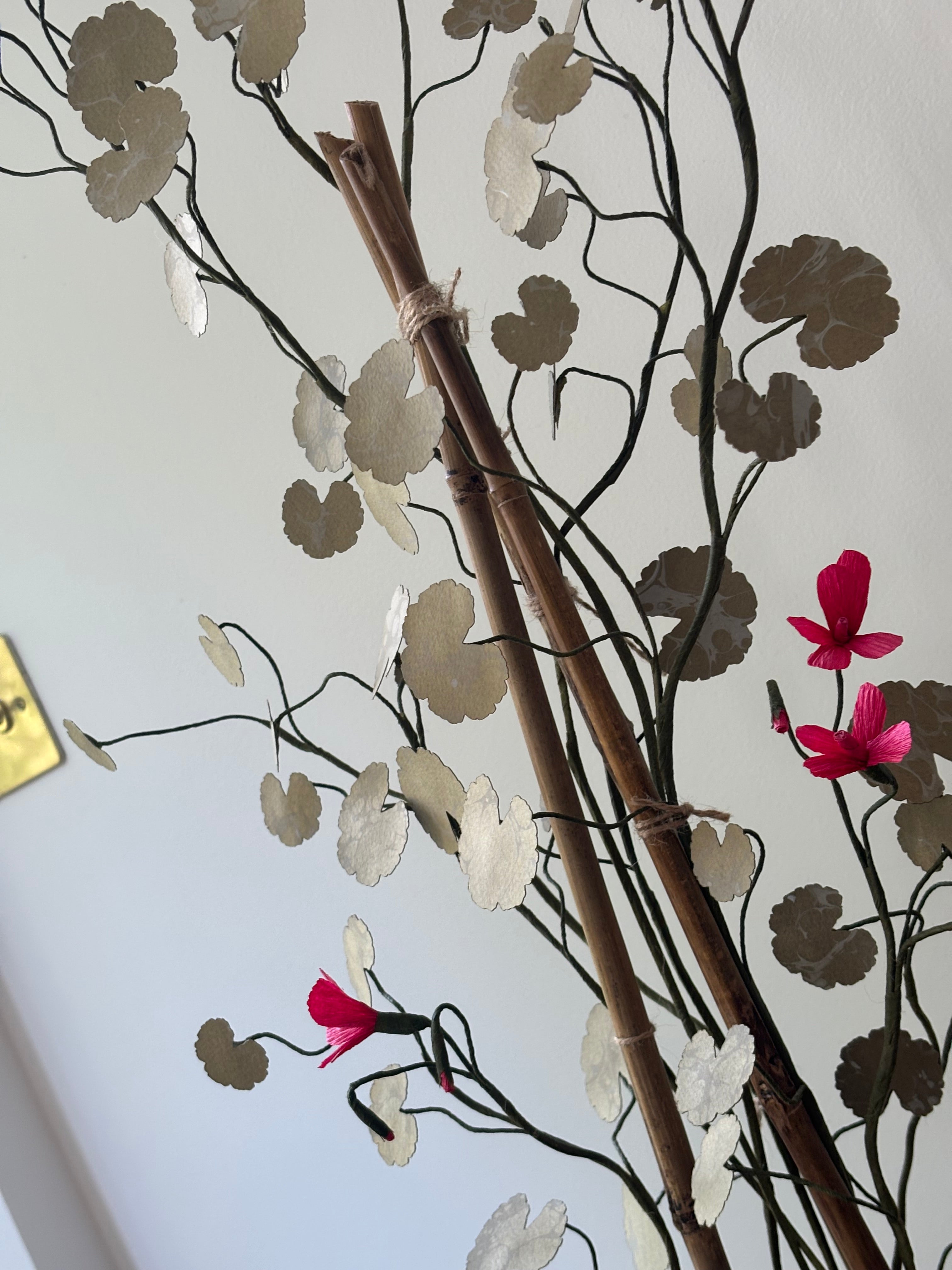Paper Geranium