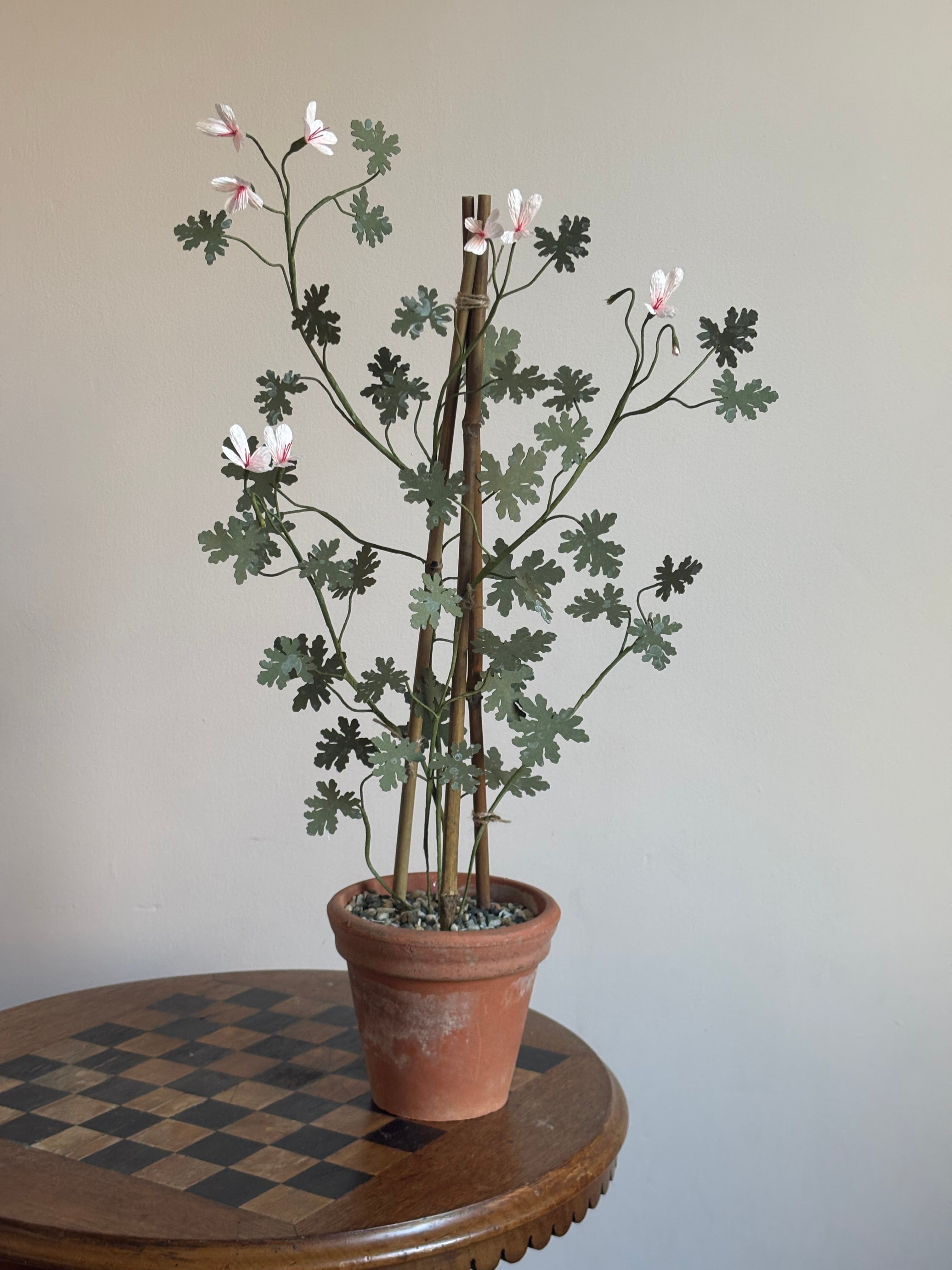 Paper Pelargonium, inspired by Pelargonium radens