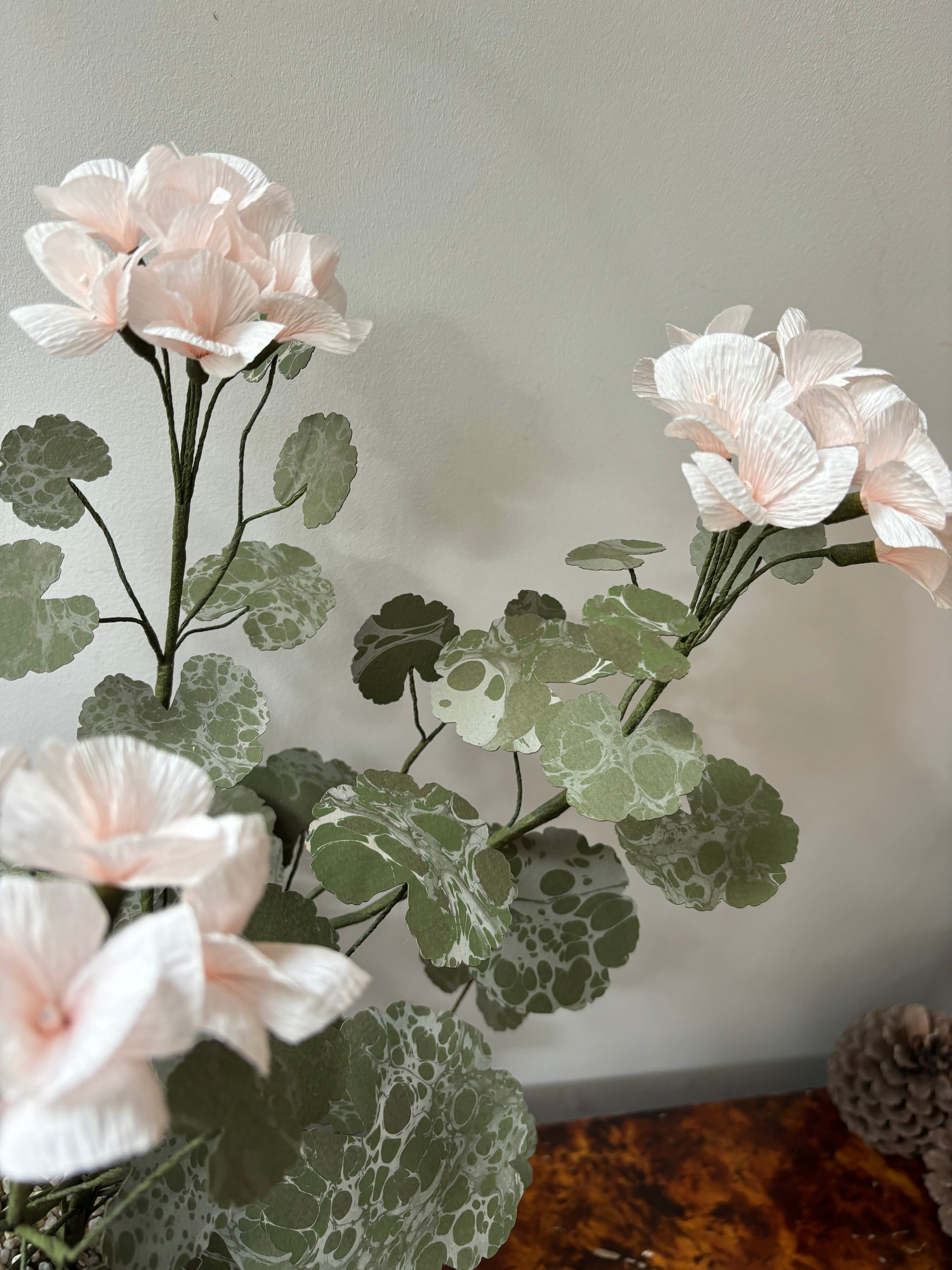 Geranium
