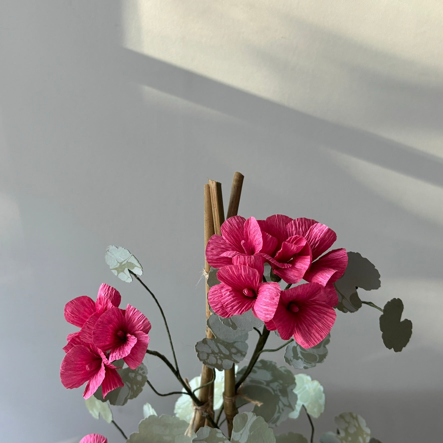 Paper Geranium