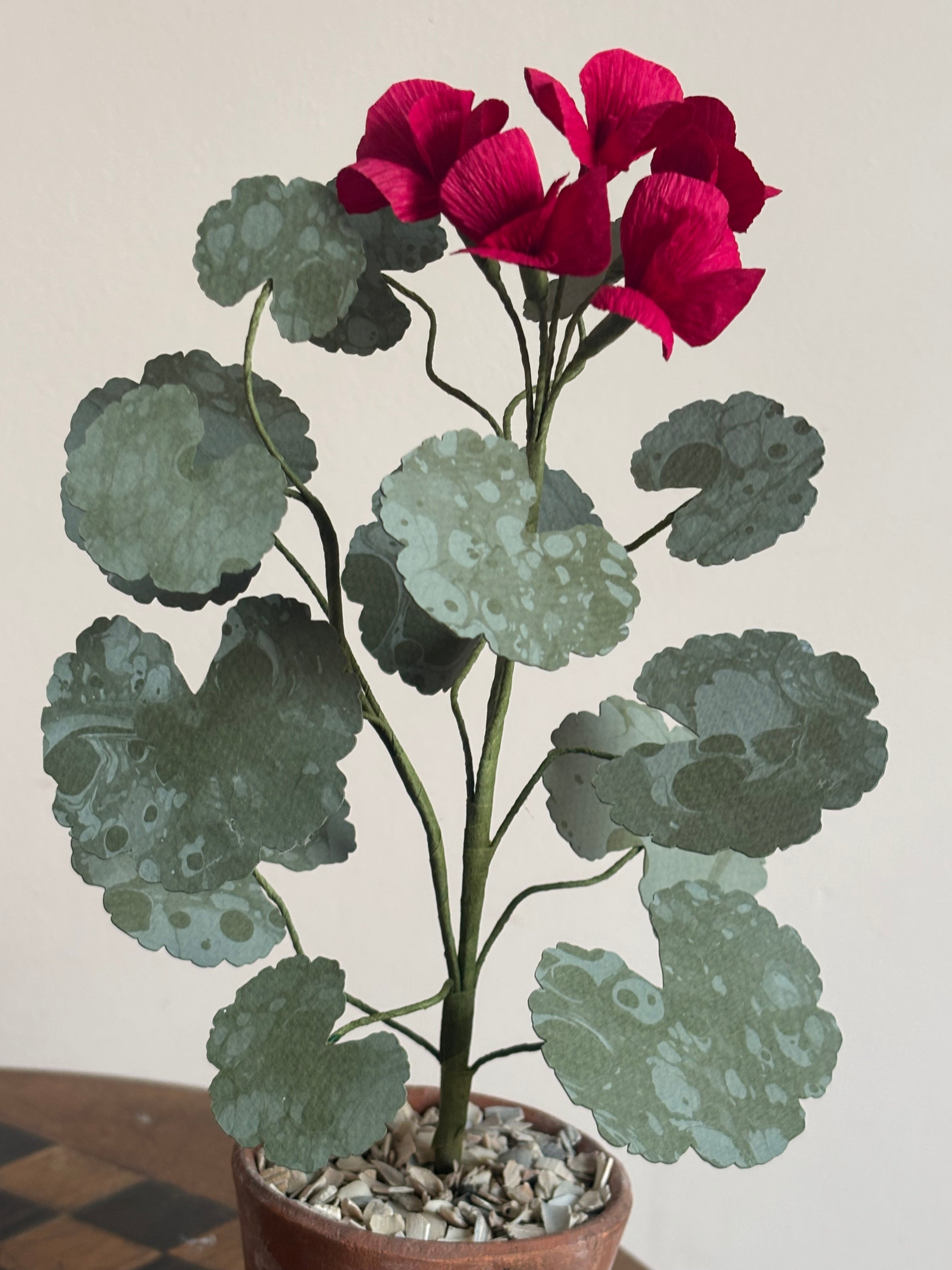 Paper Geranium