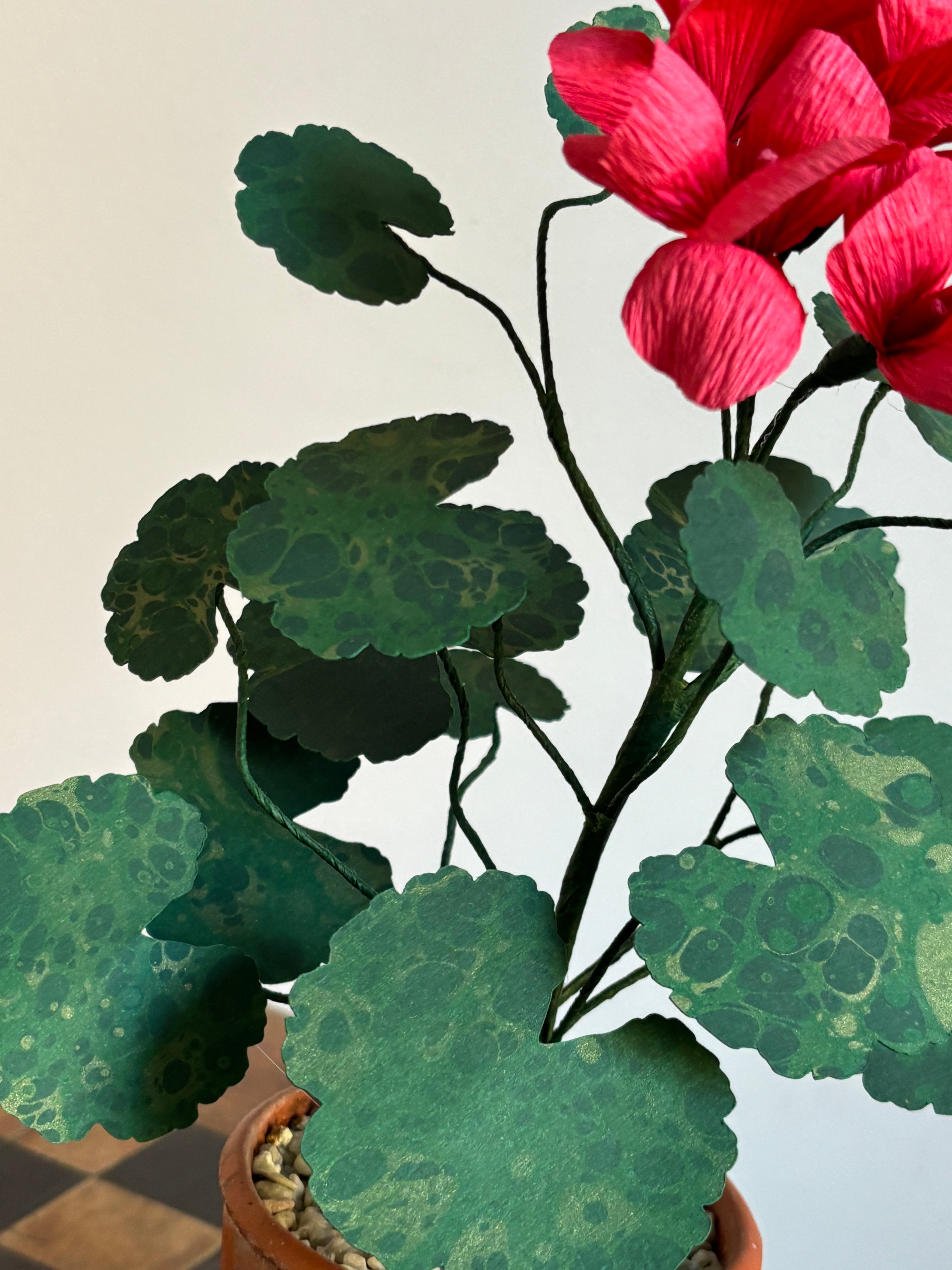 Paper Geranium