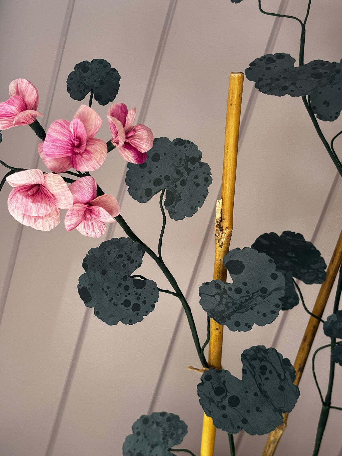 Paper geranium