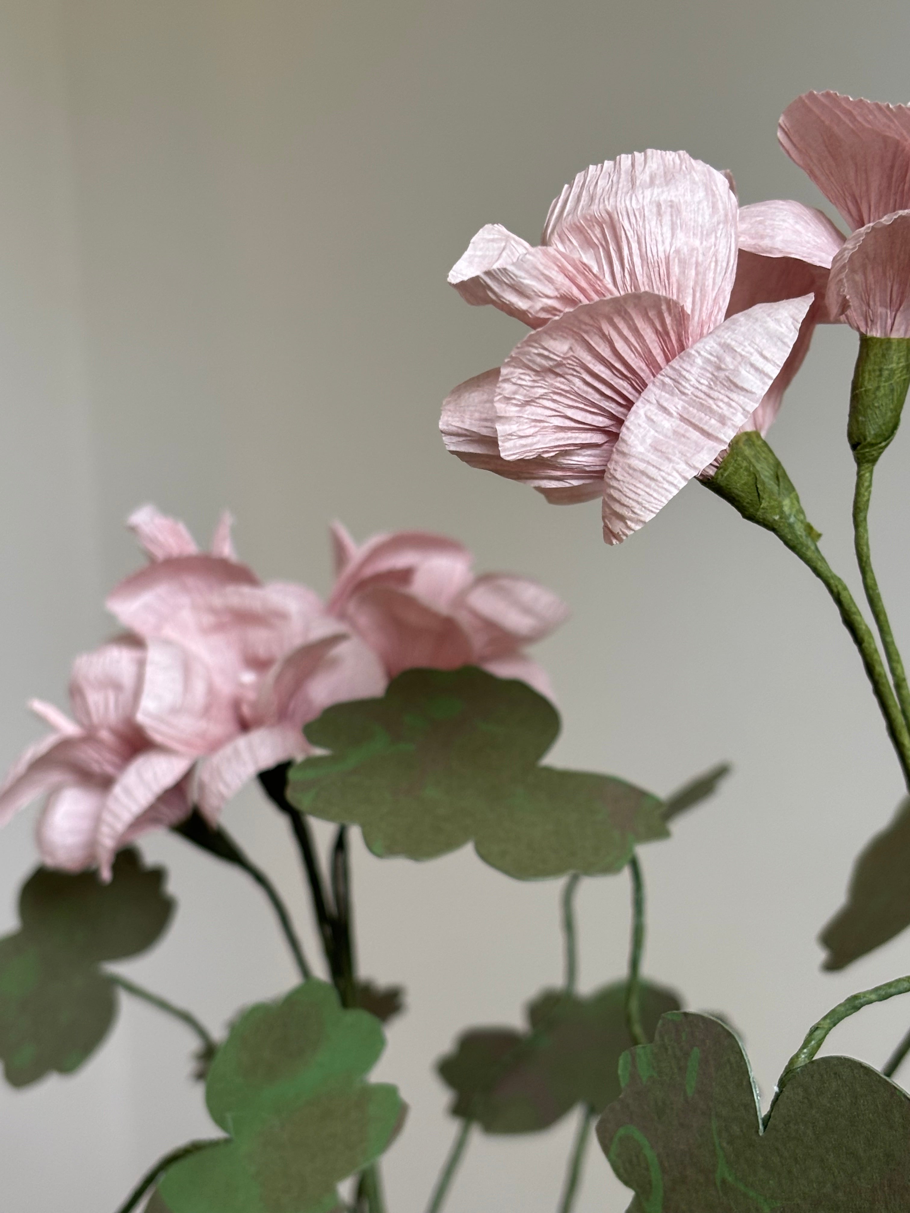 Paper Geranium