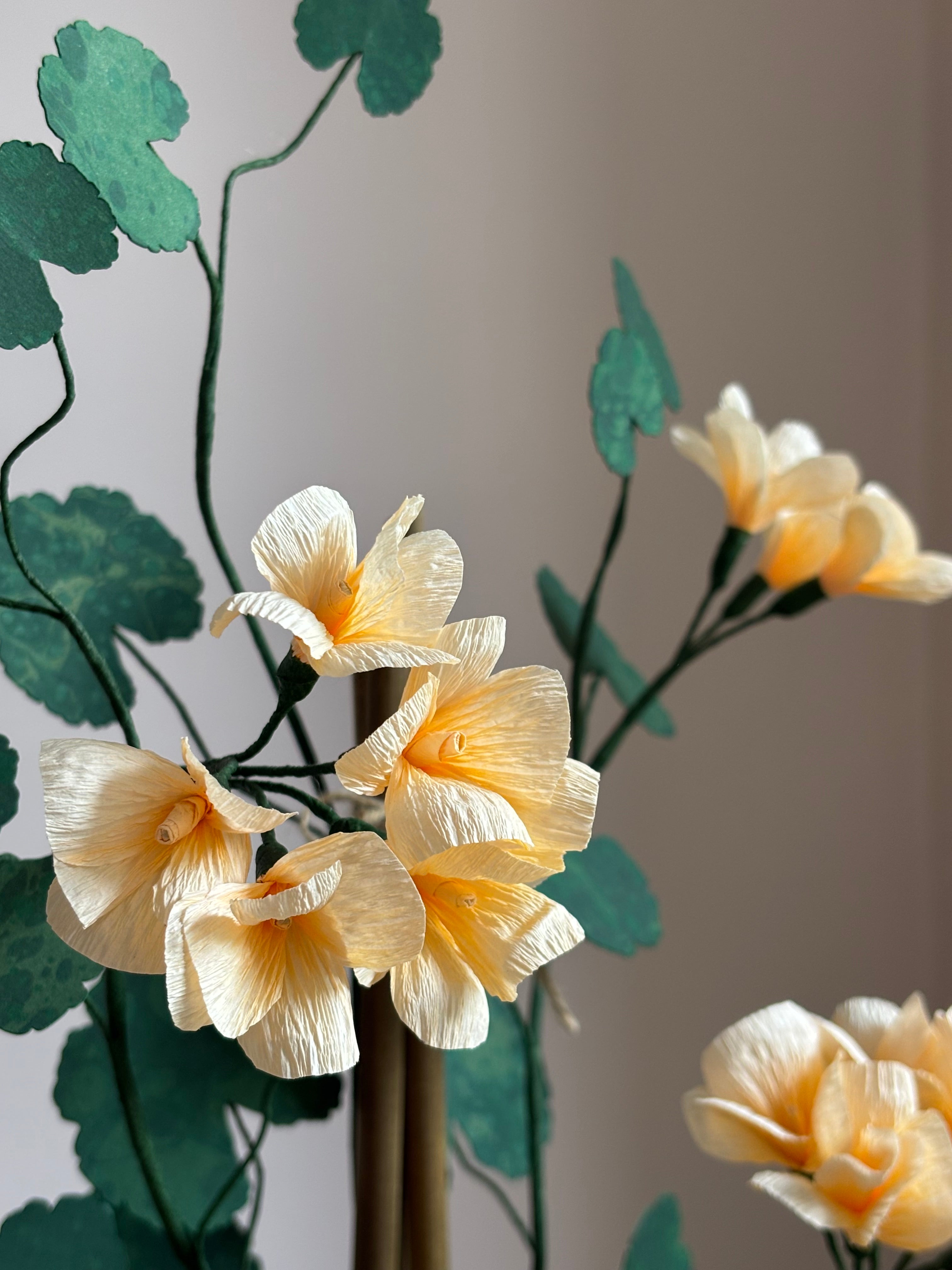 Paper Geranium
