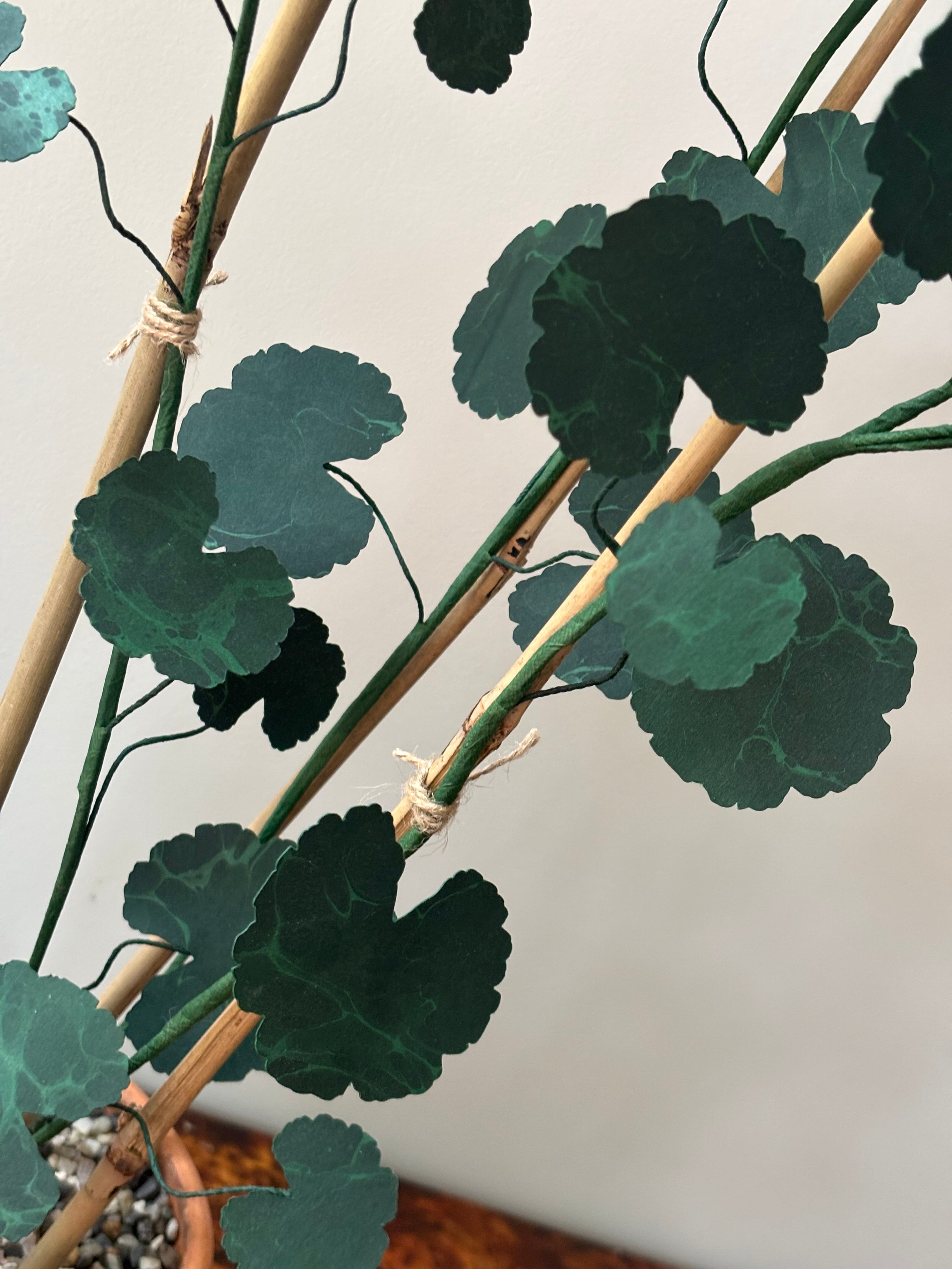 Paper Geranium