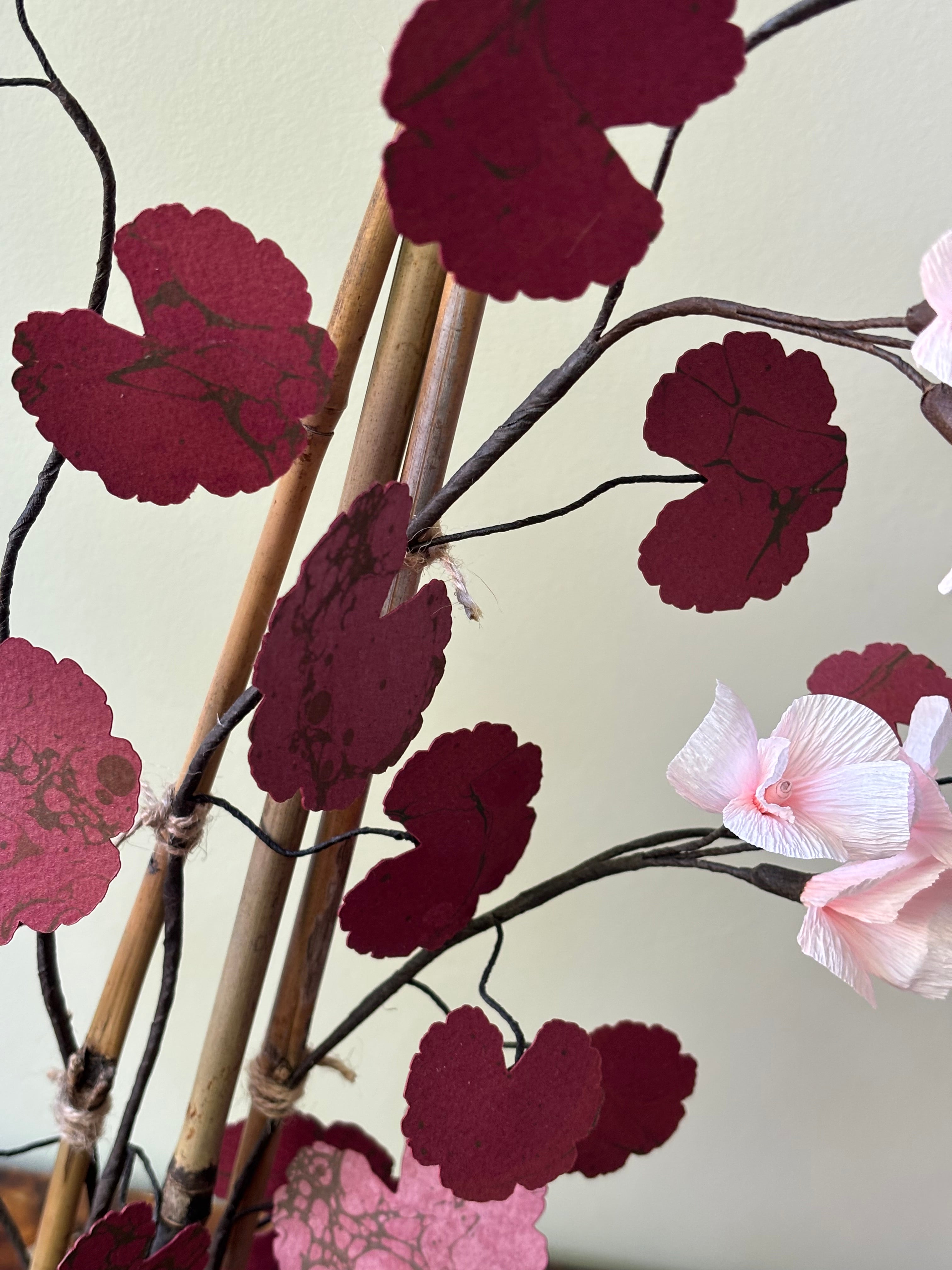 Paper Geranium