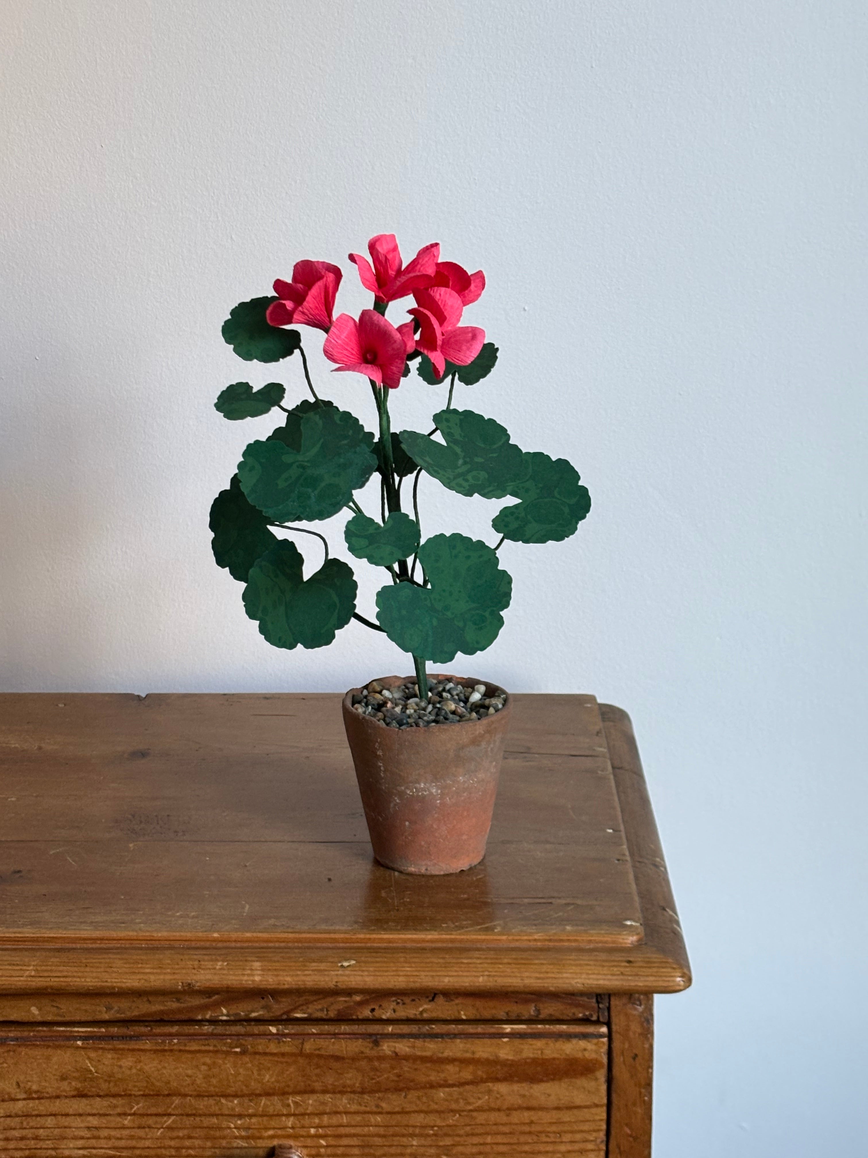 Paper Geranium