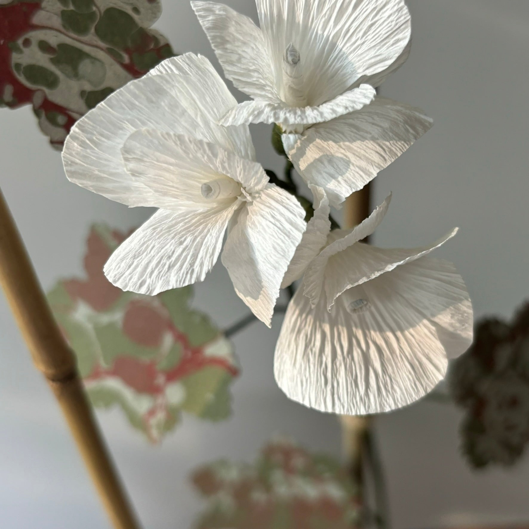 Paper Geranium