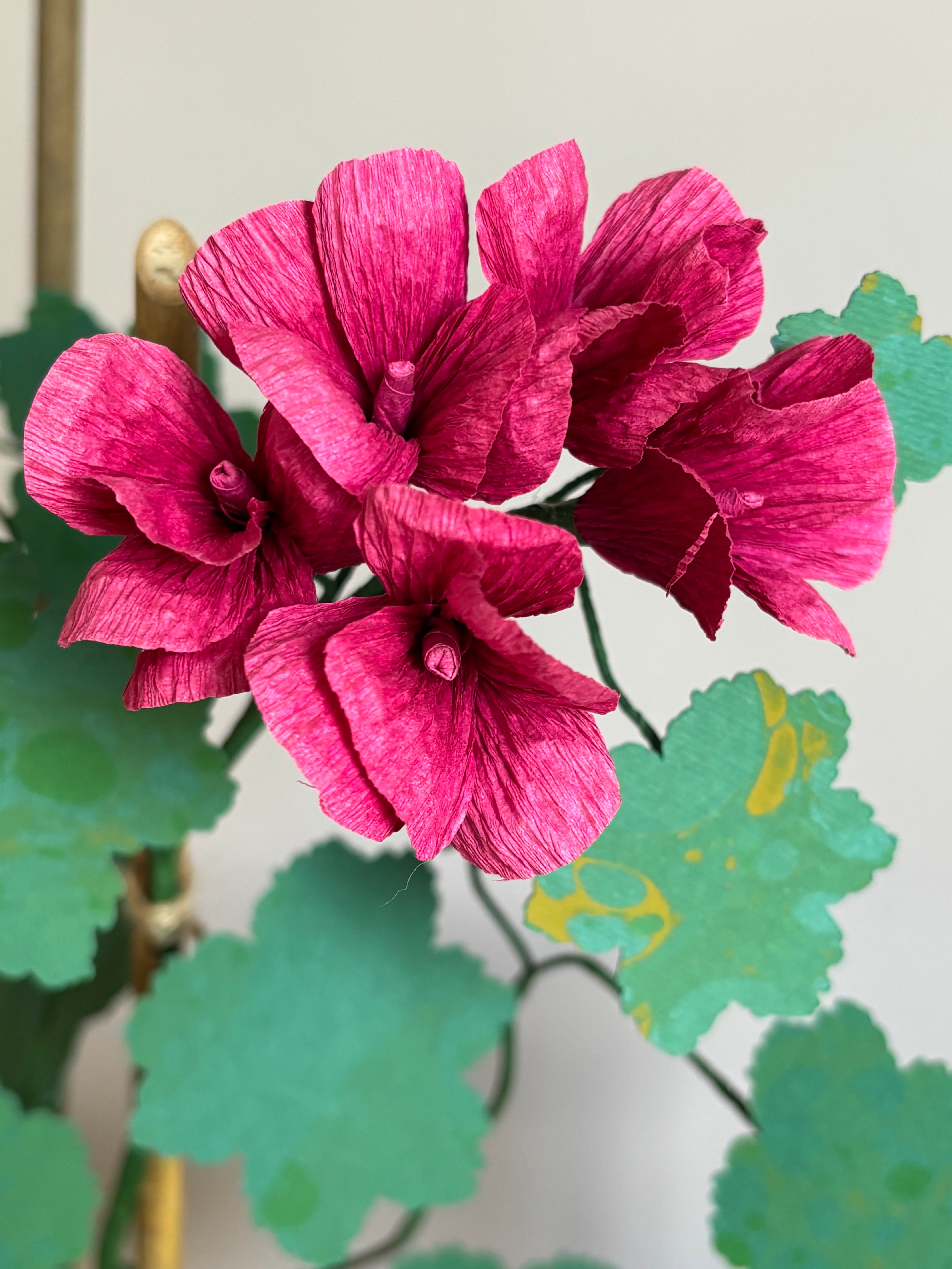 Paper Geranium