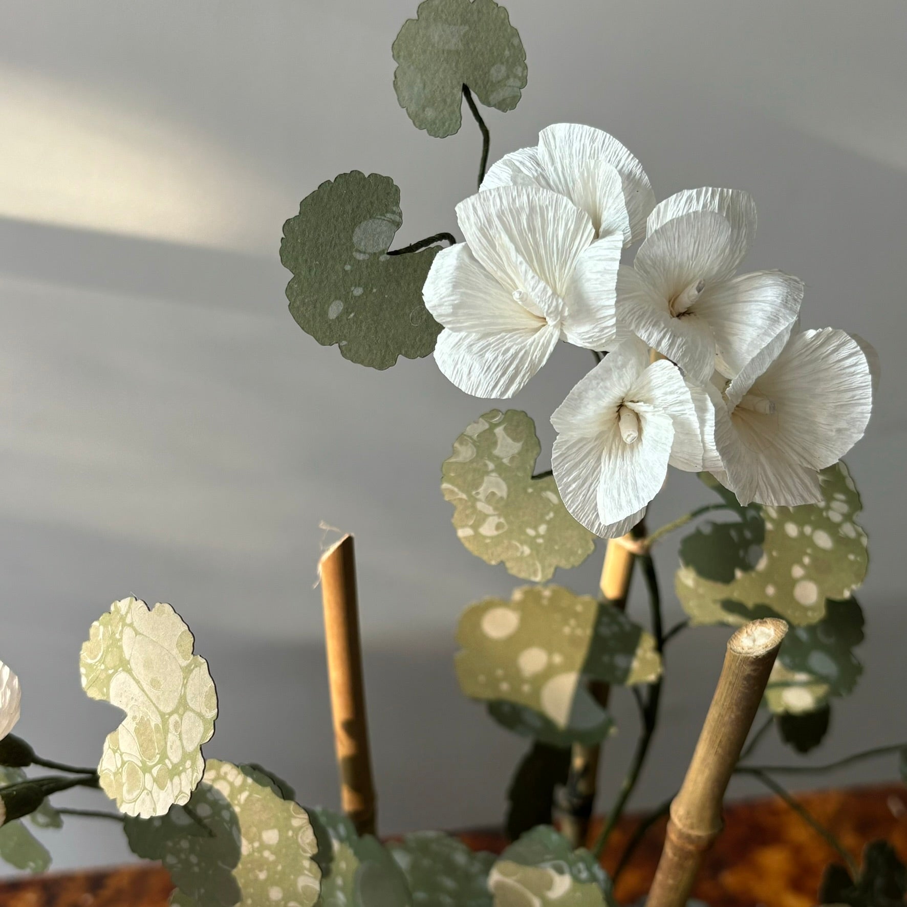 Paper Geranium