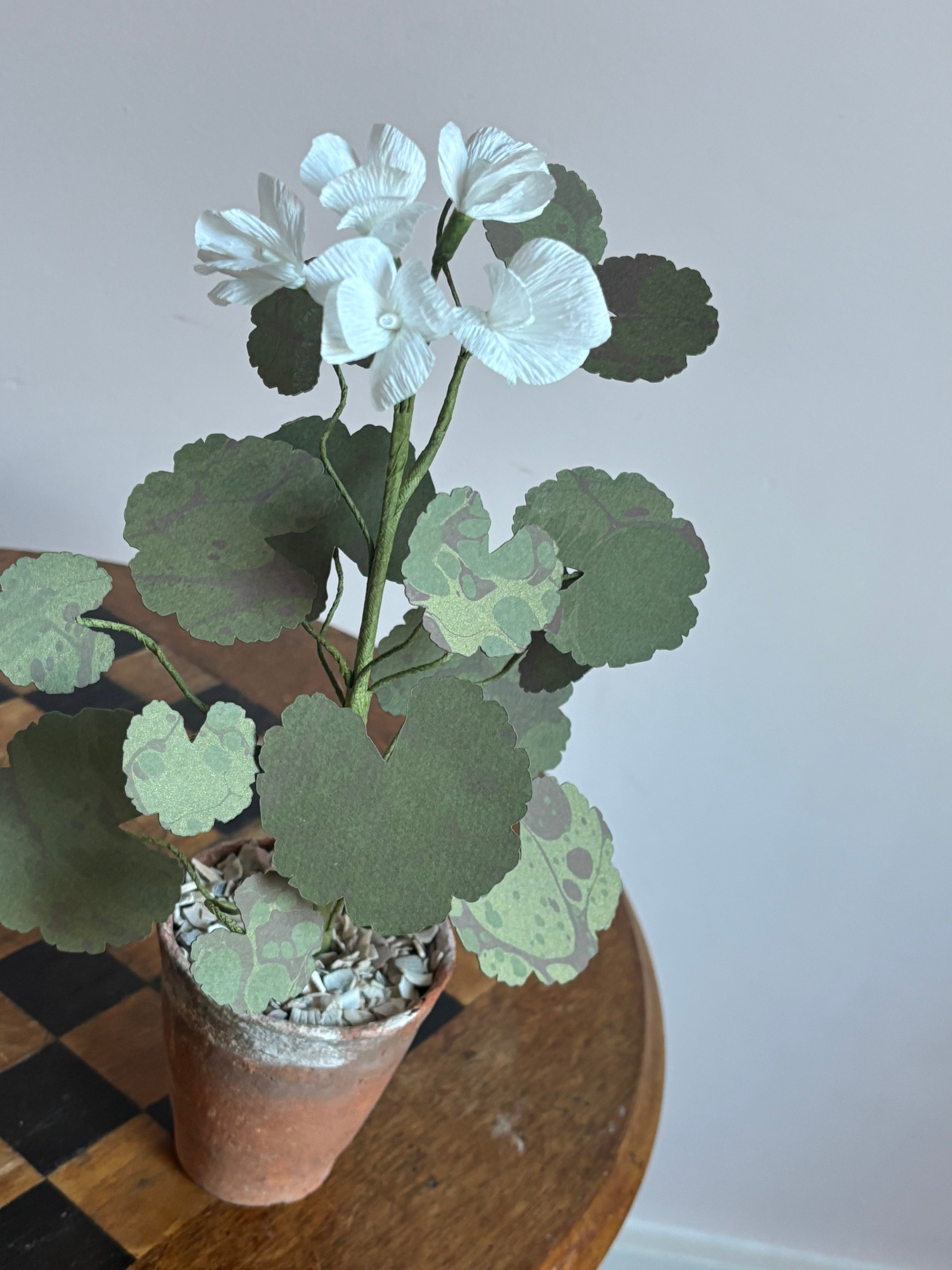 Paper Geranium