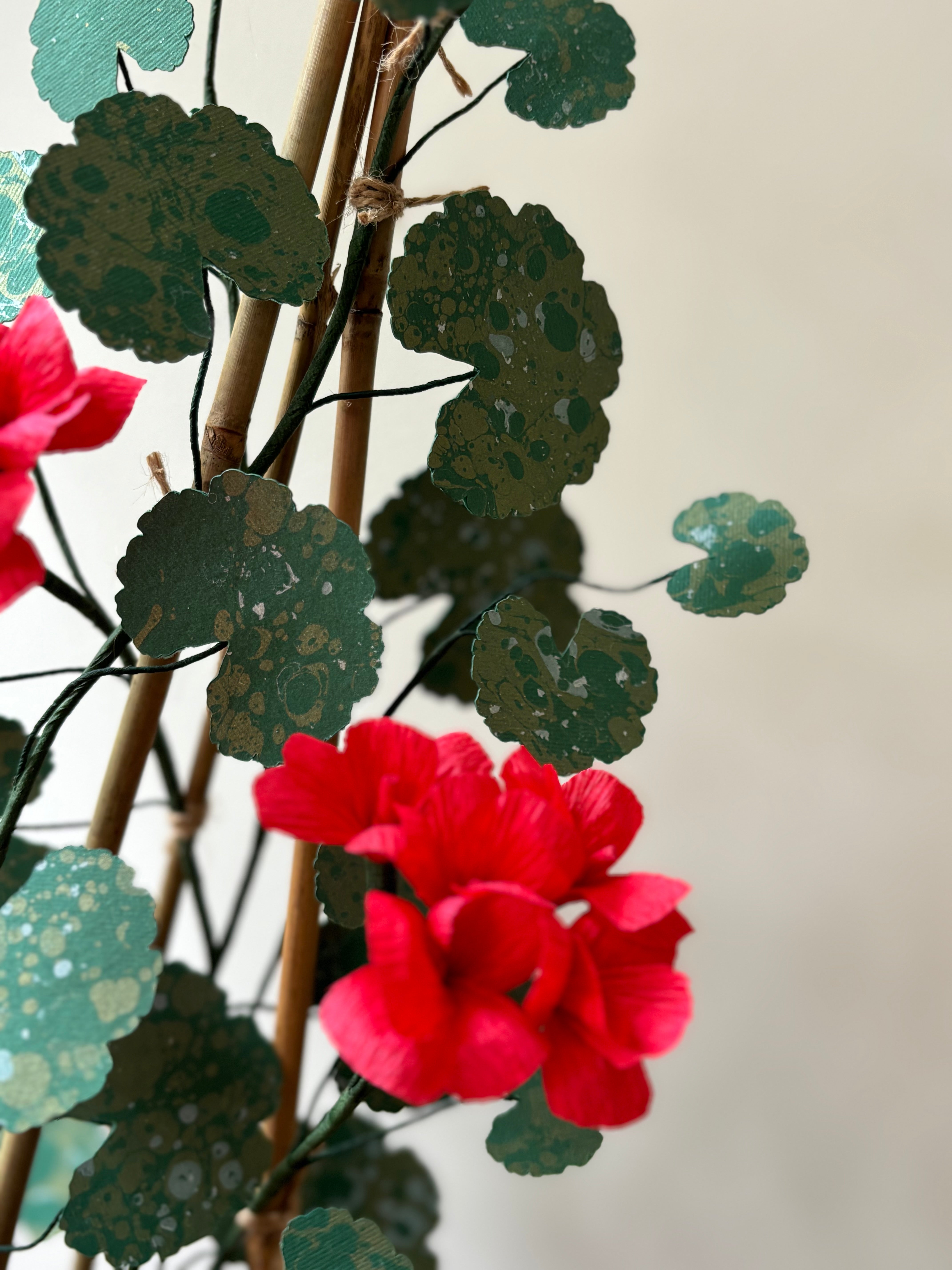 Paper Geranium