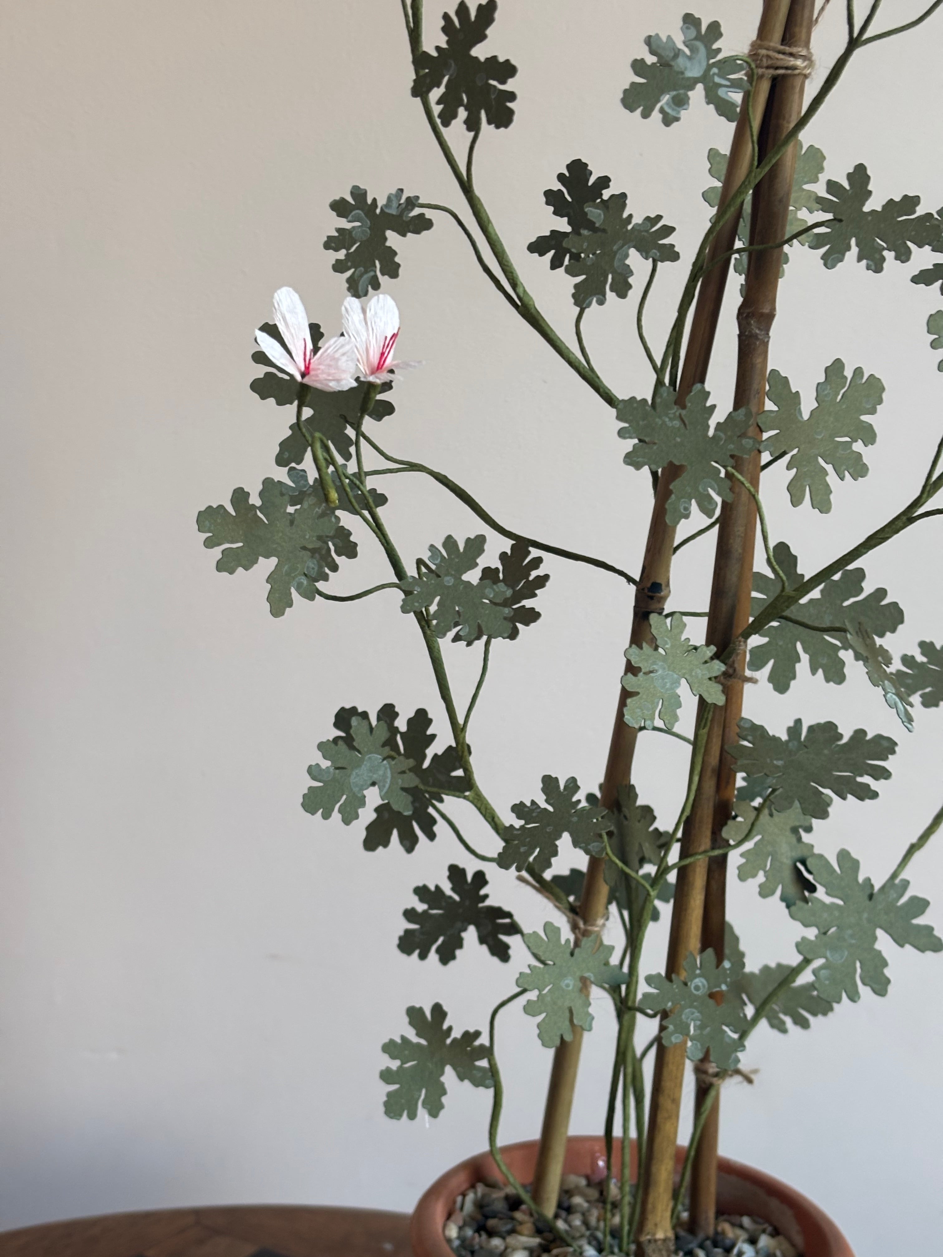 Paper Pelargonium, inspired by Pelargonium radens