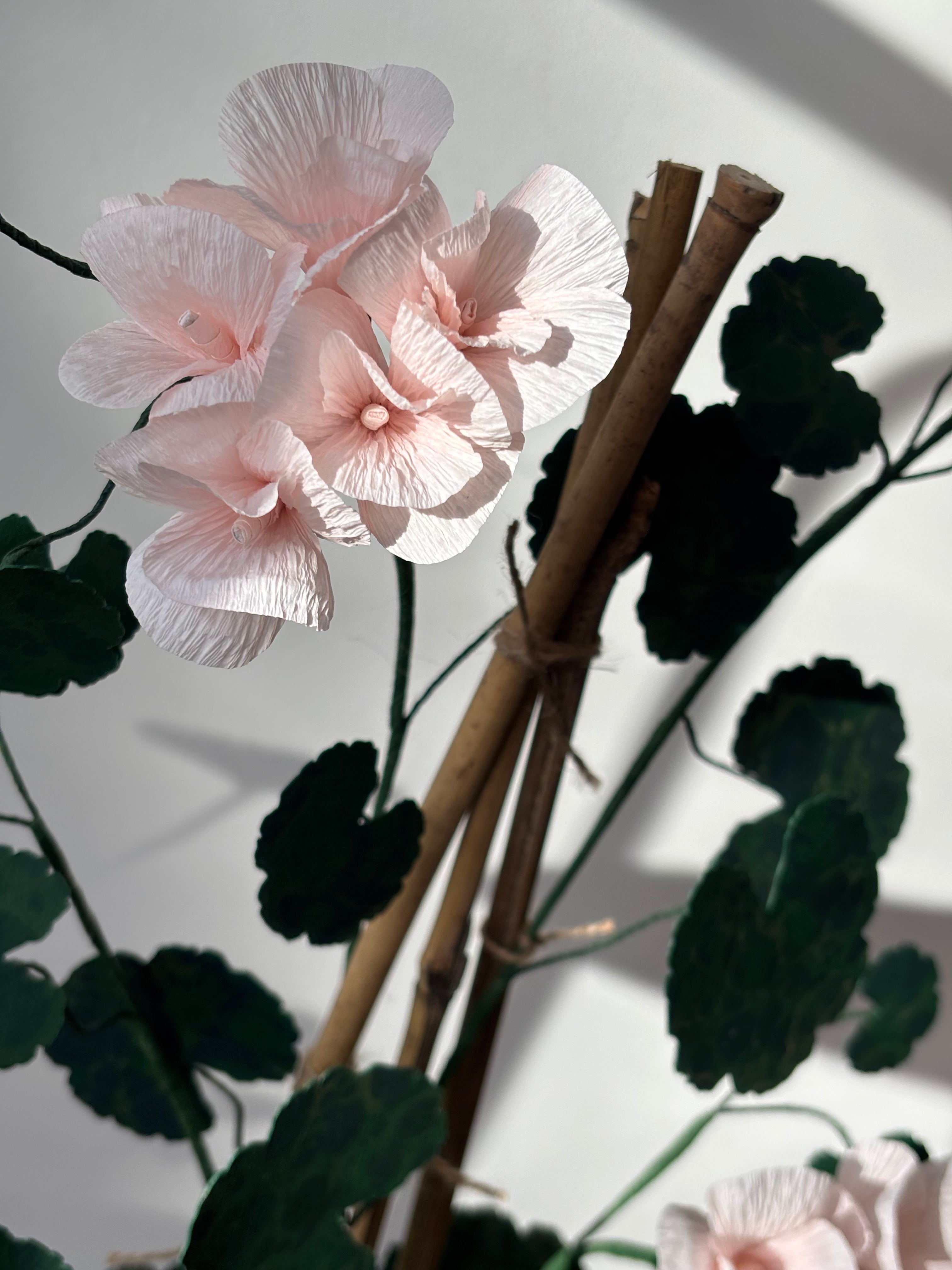 Paper Geranium