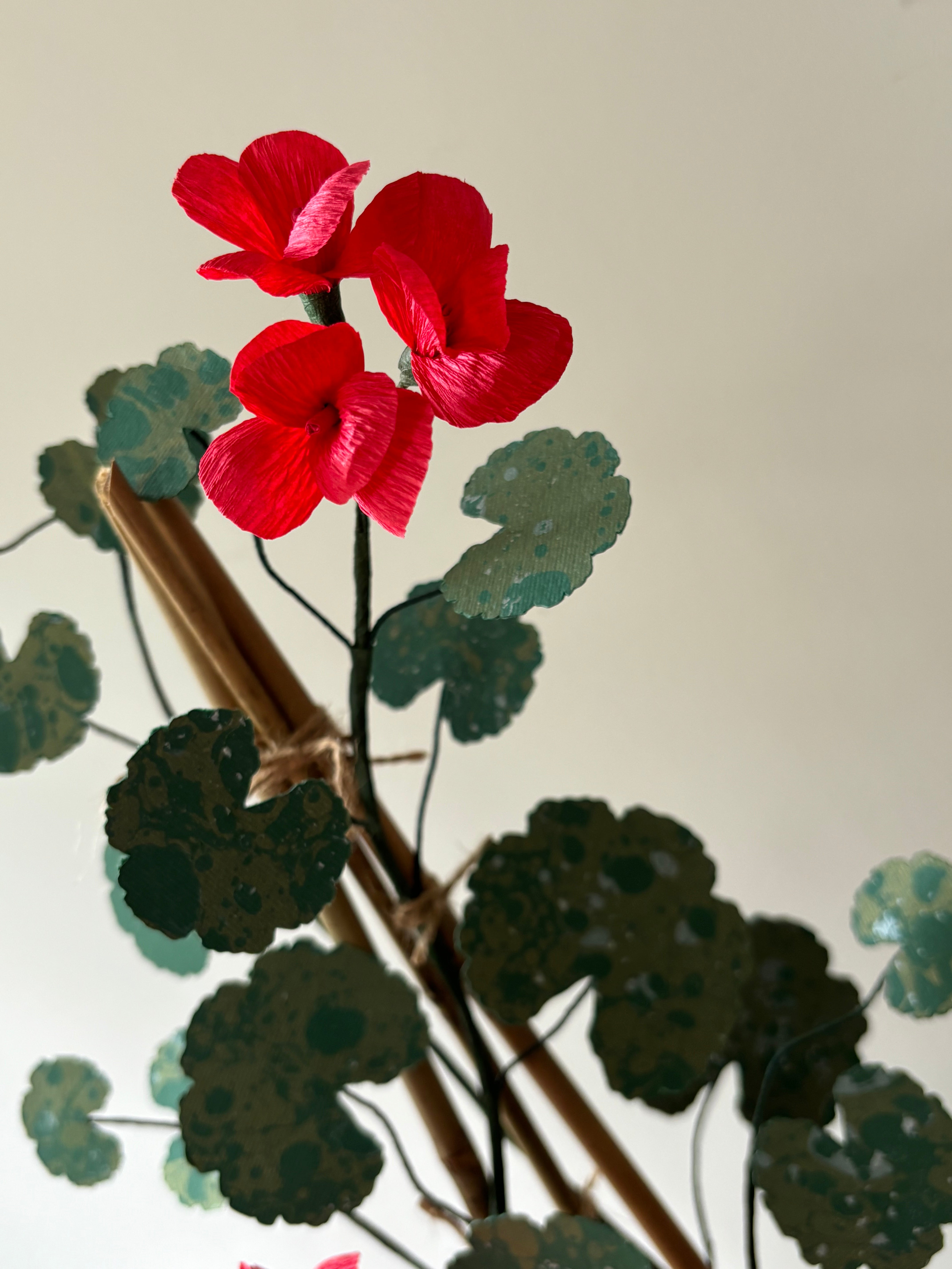 Paper Geranium