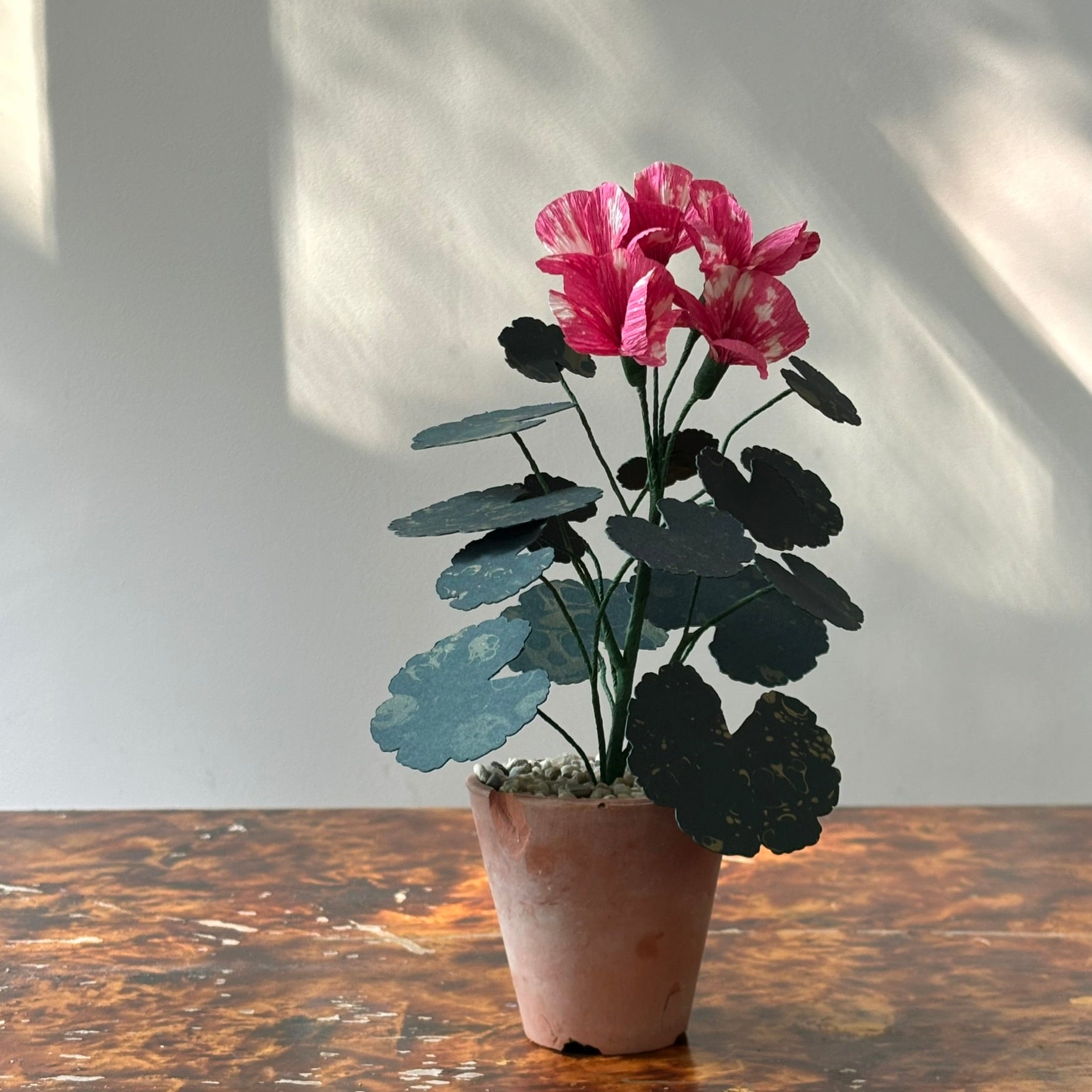 Paper Geranium