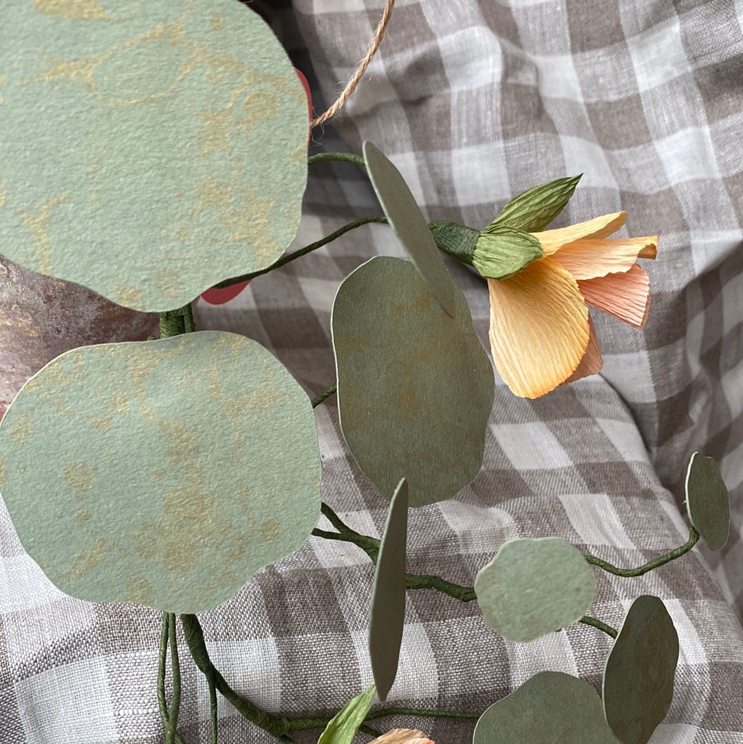 Paper Nasturtium