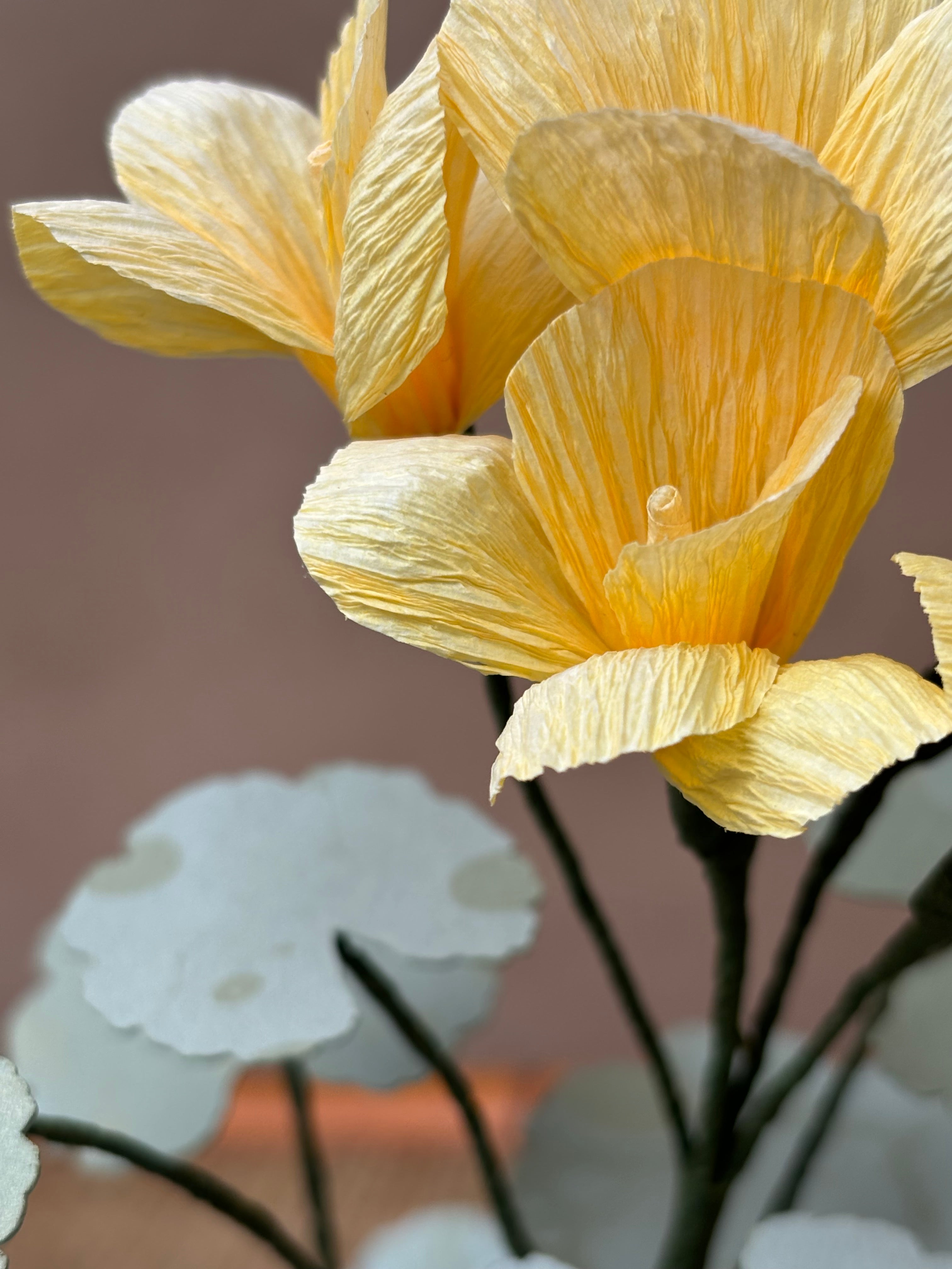 Paper Geranium