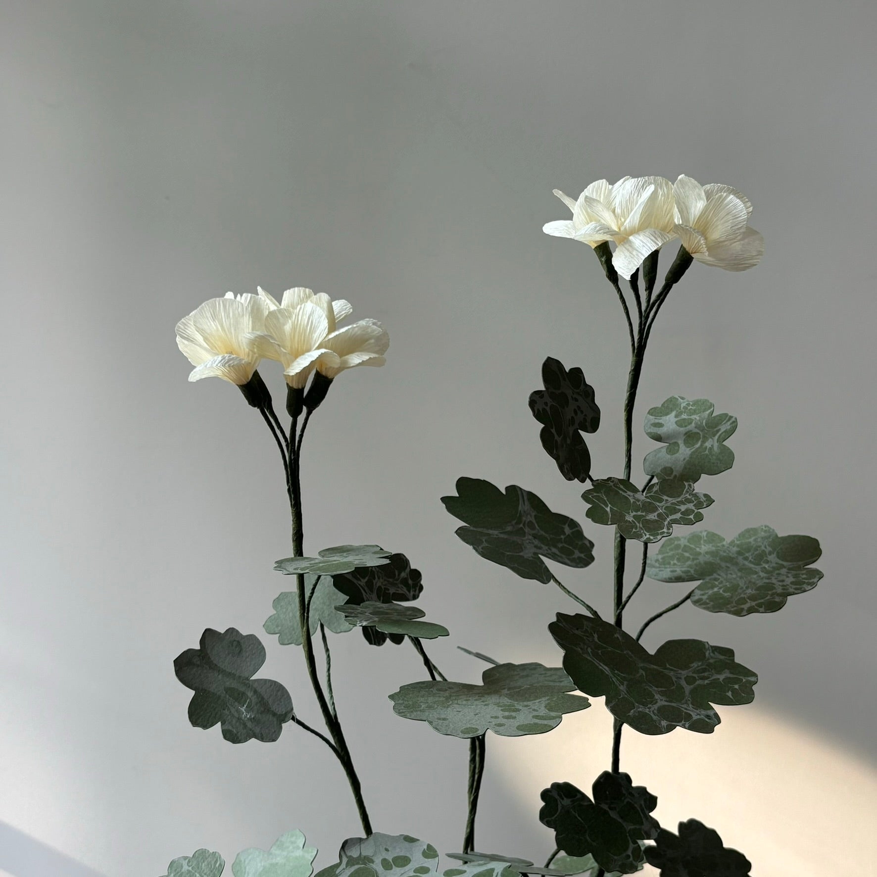 Paper Geranium