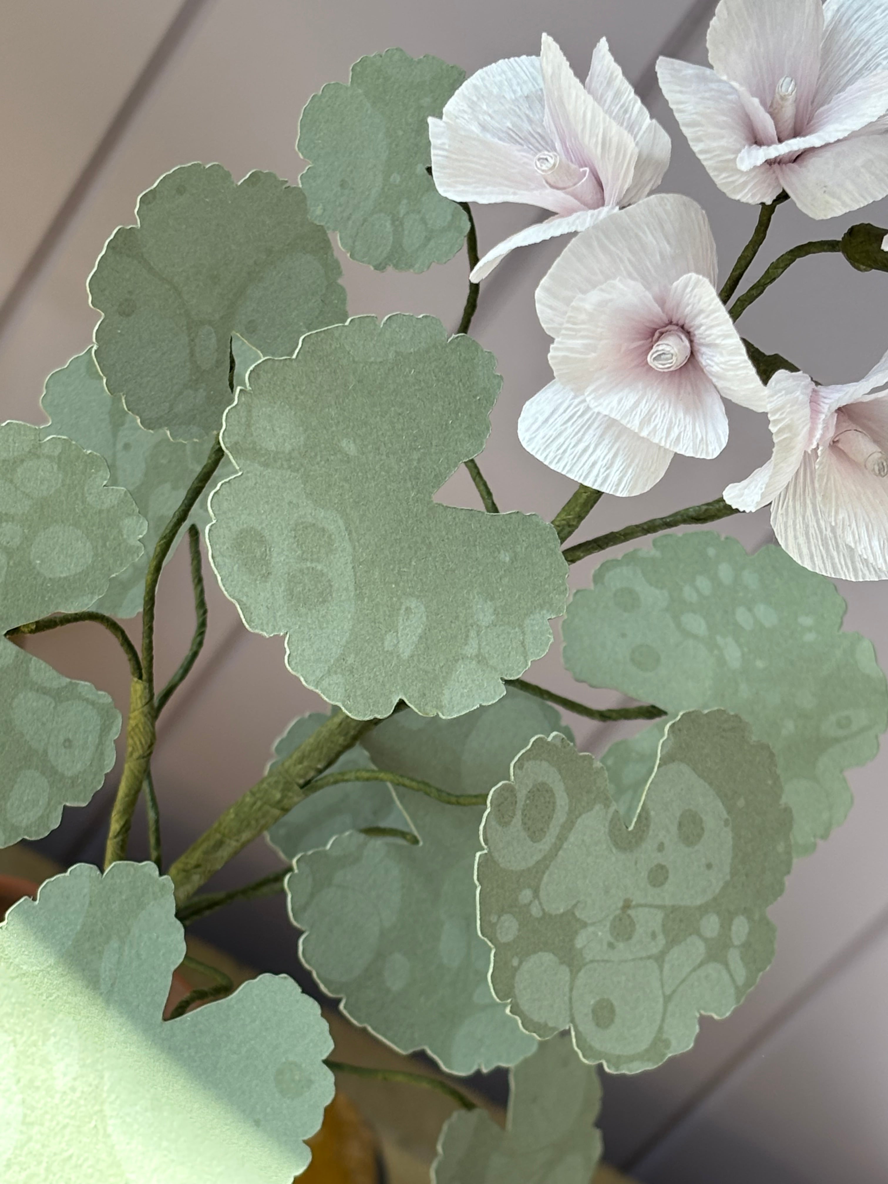 Paper Geranium