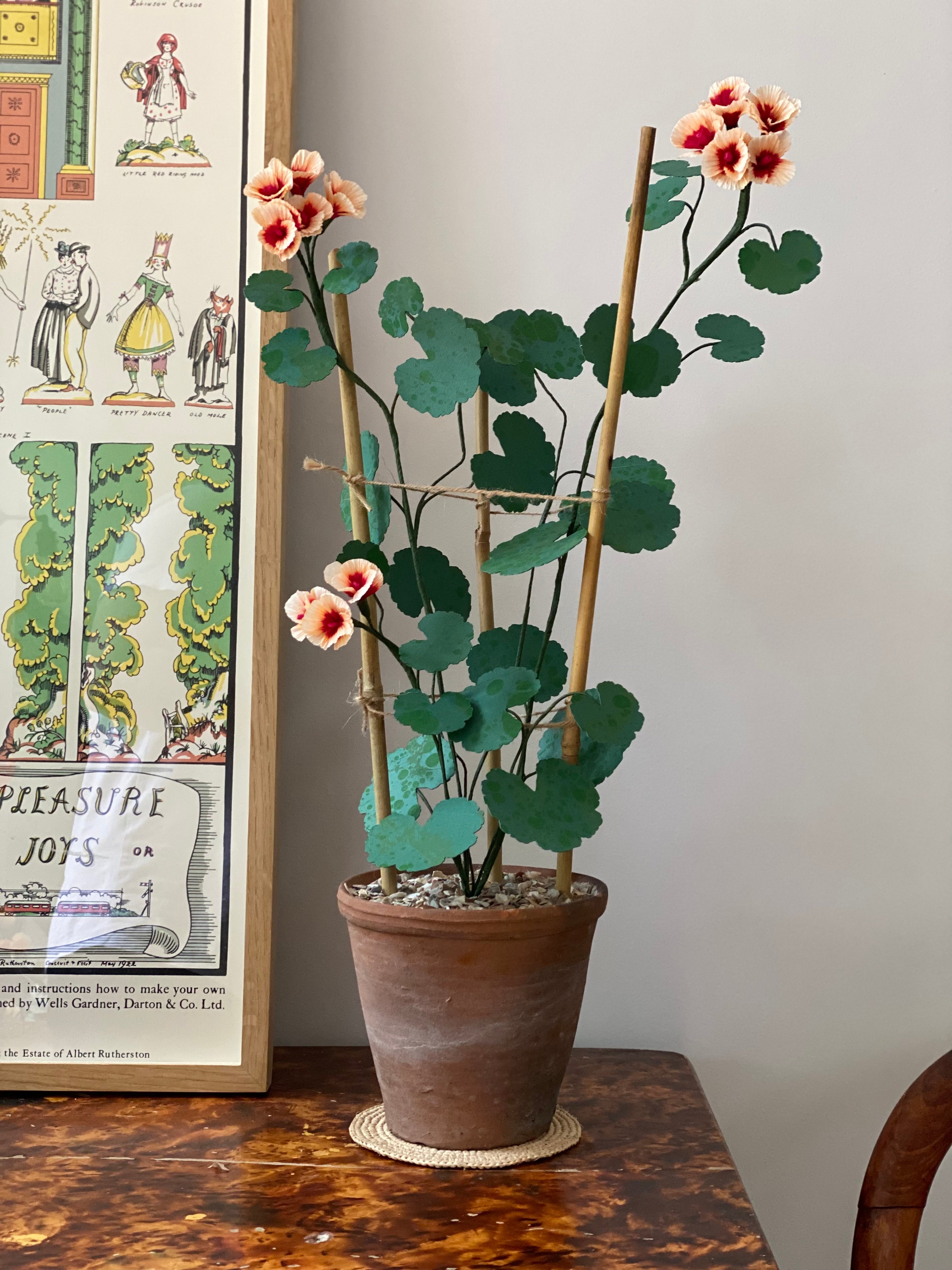 Paper Geranium