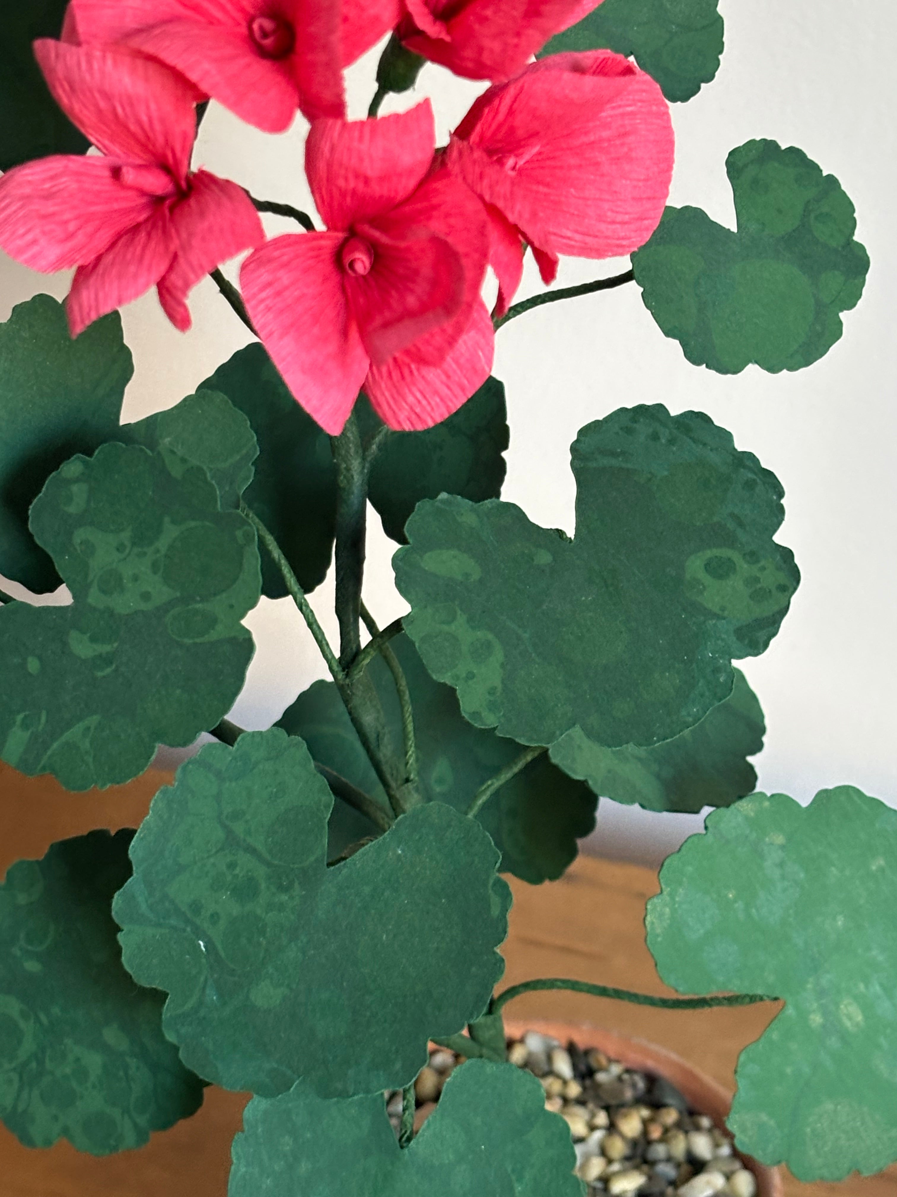 Paper Geranium