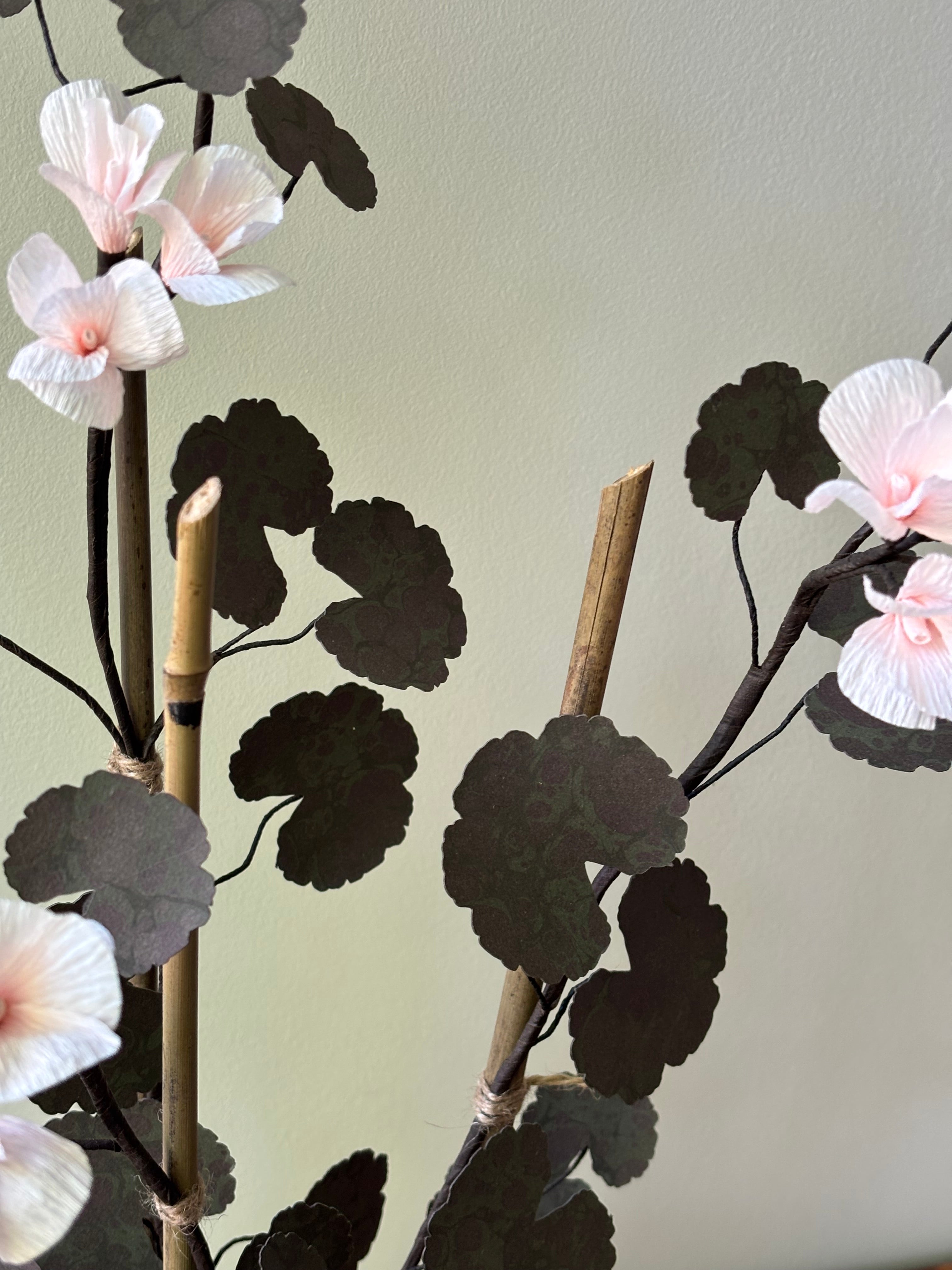 Paper Geranium