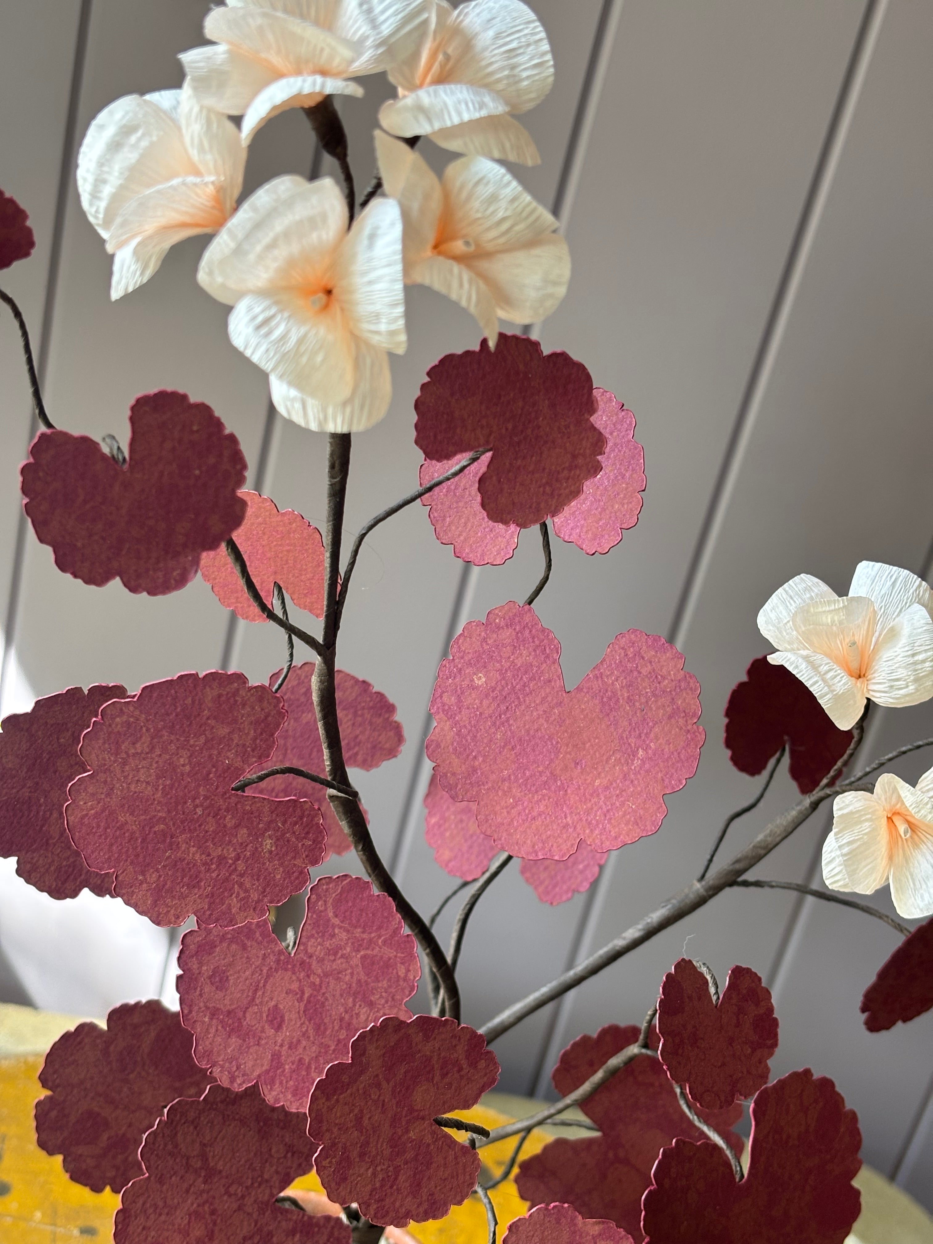Paper geranium