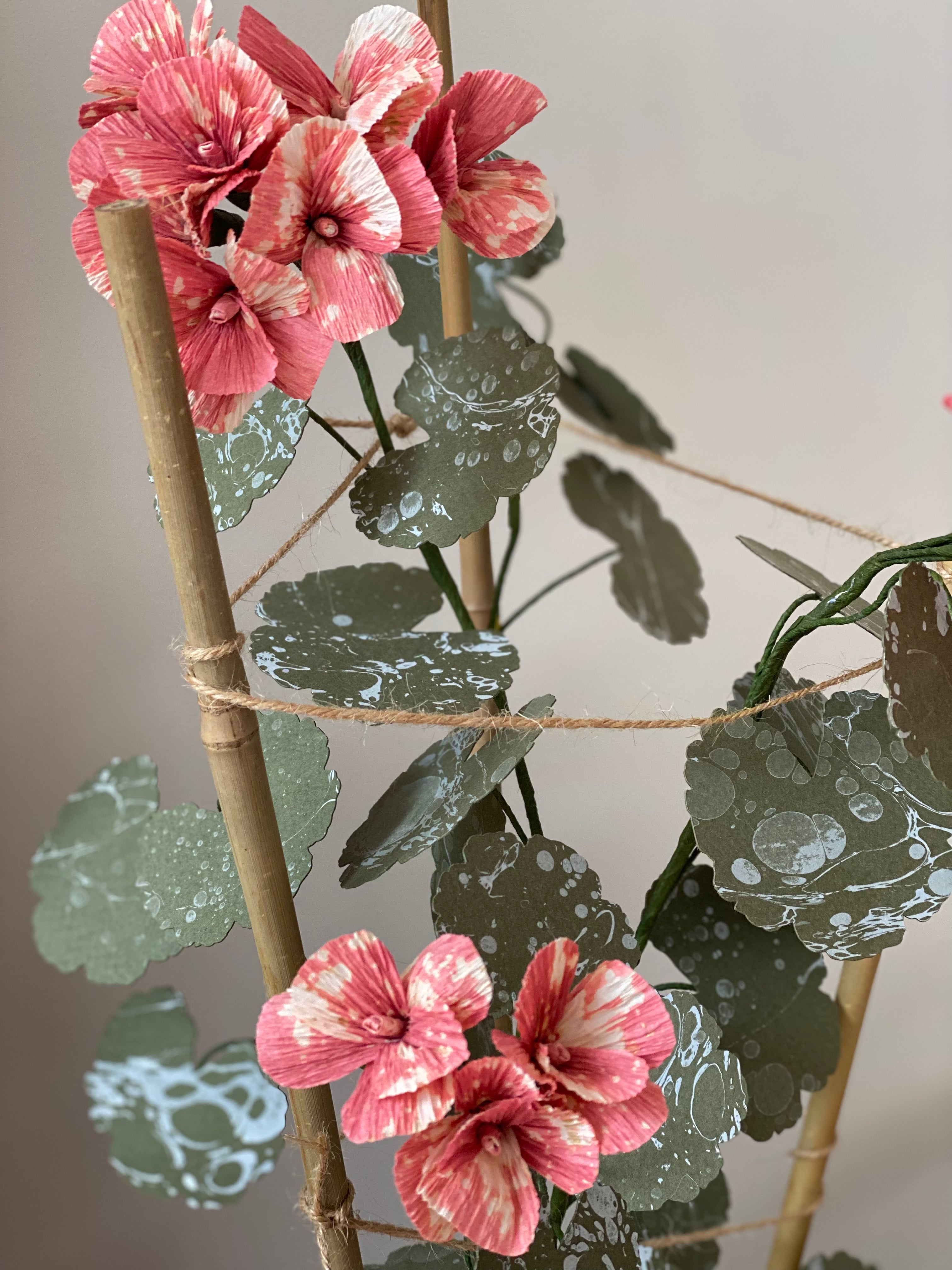 Paper Geranium