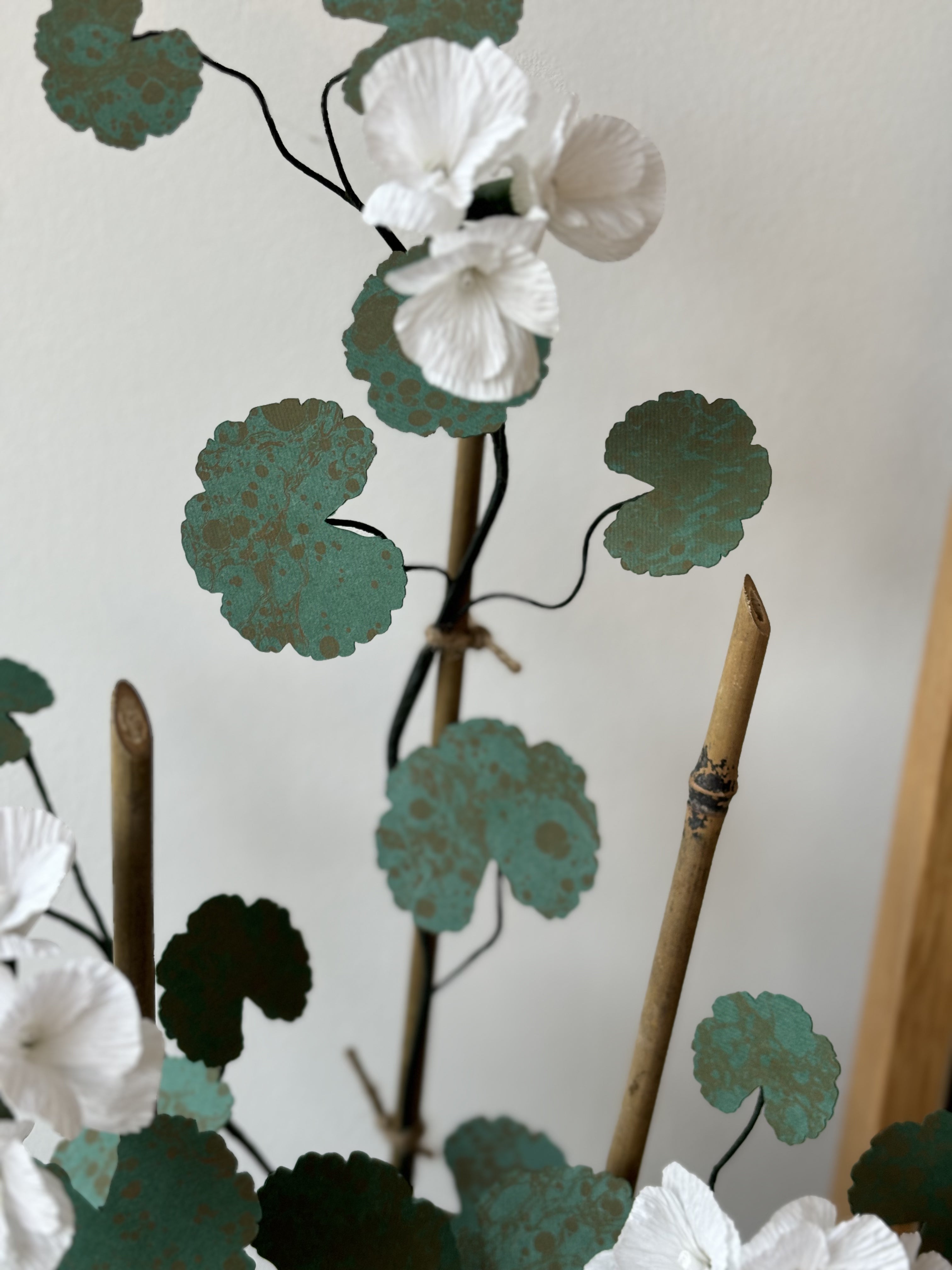 Paper Geranium