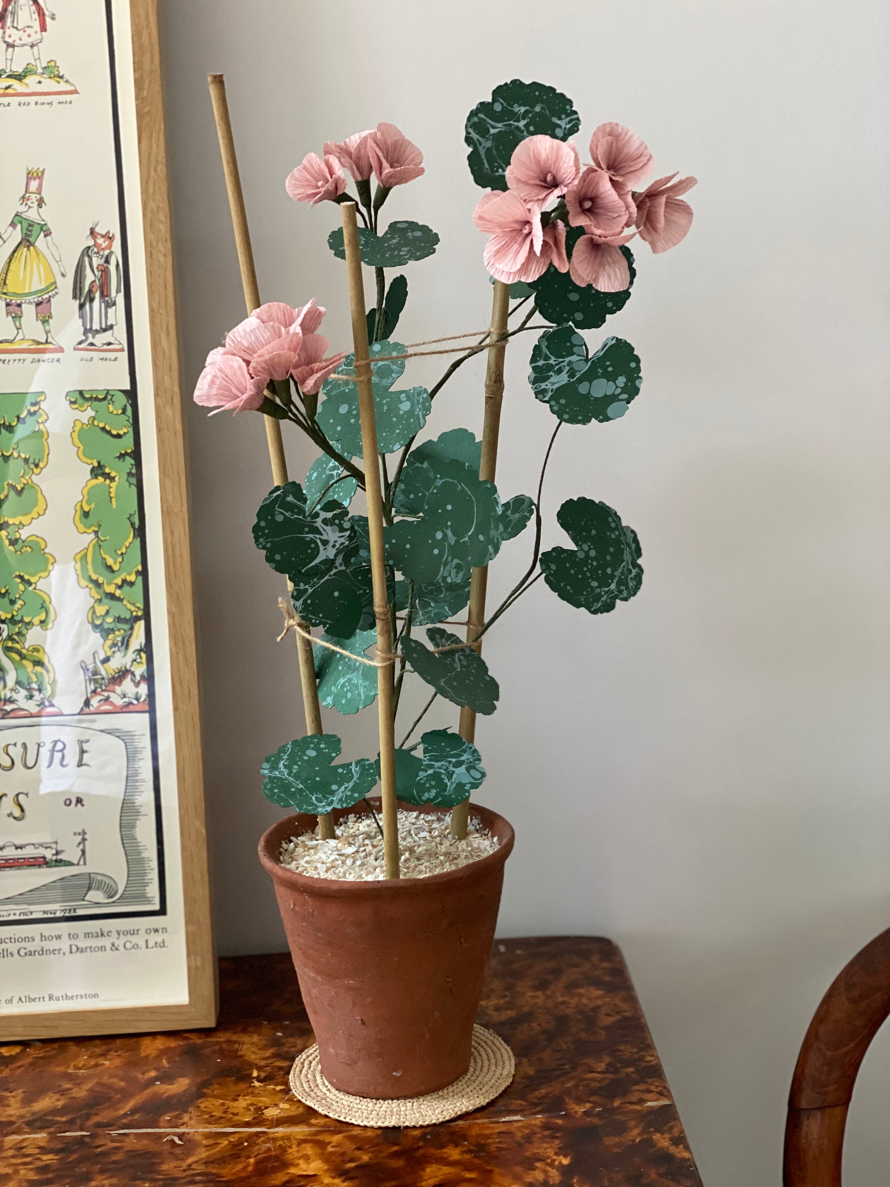 Paper Geranium